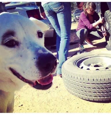 finny tire change