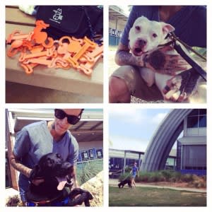 Public Dog Walking at Austin Animal Center Made Simple! - Dogs Out Loud Public Dog Walking at Austin Animal Center Made Simple! - Dogs Out Loud