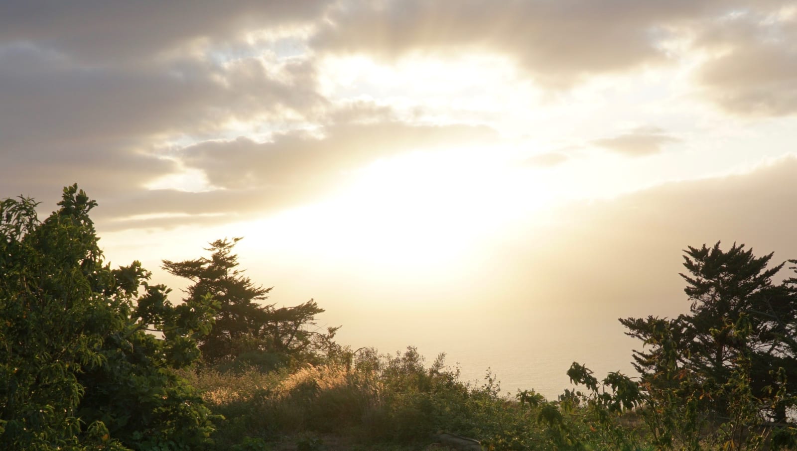 tenerife photo e67ea686-6873-5935-9415-ff4fffa58358