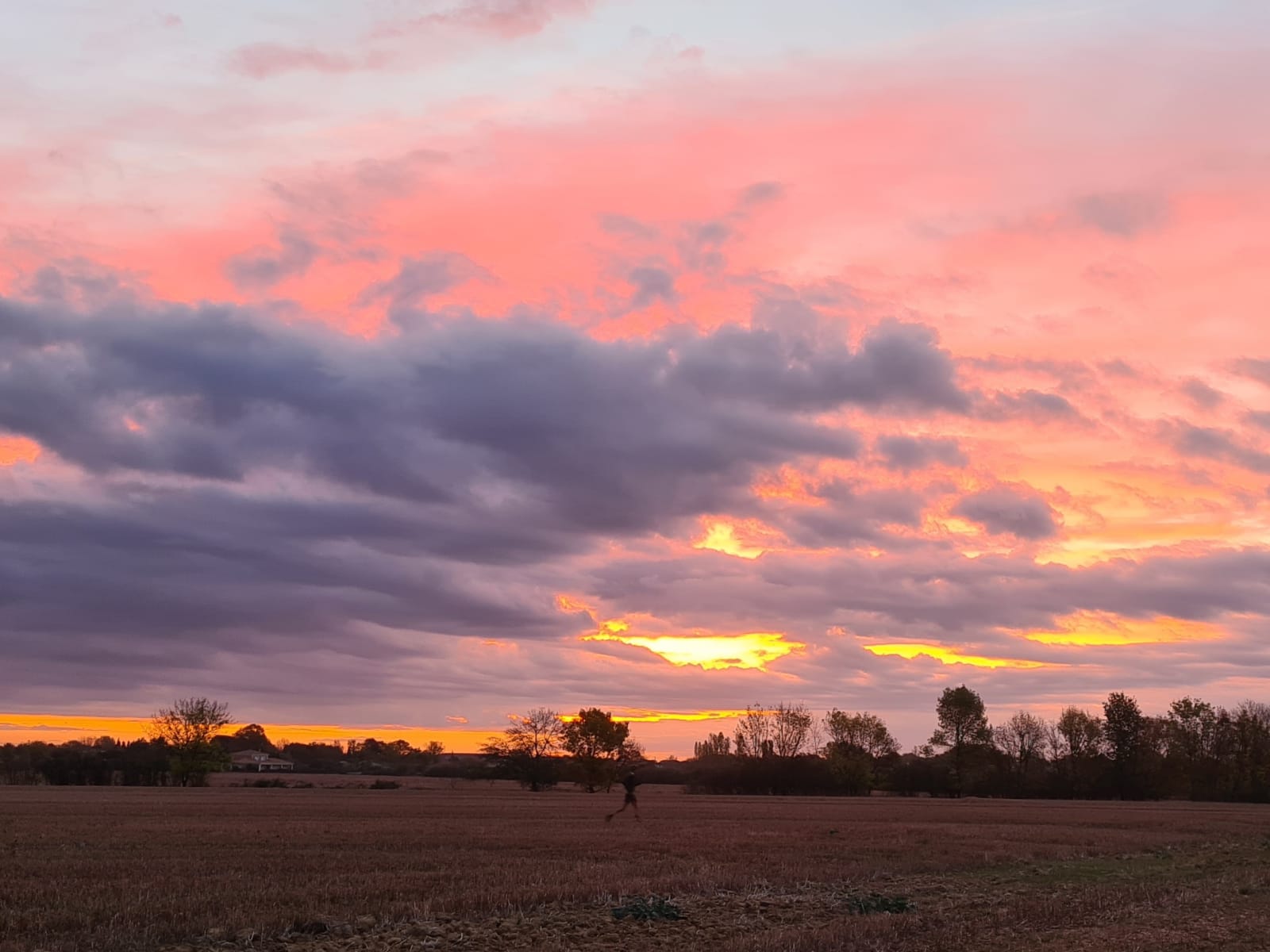 Sport photo fe11495b-b4e1-5561-aa0d-17000d0148e5