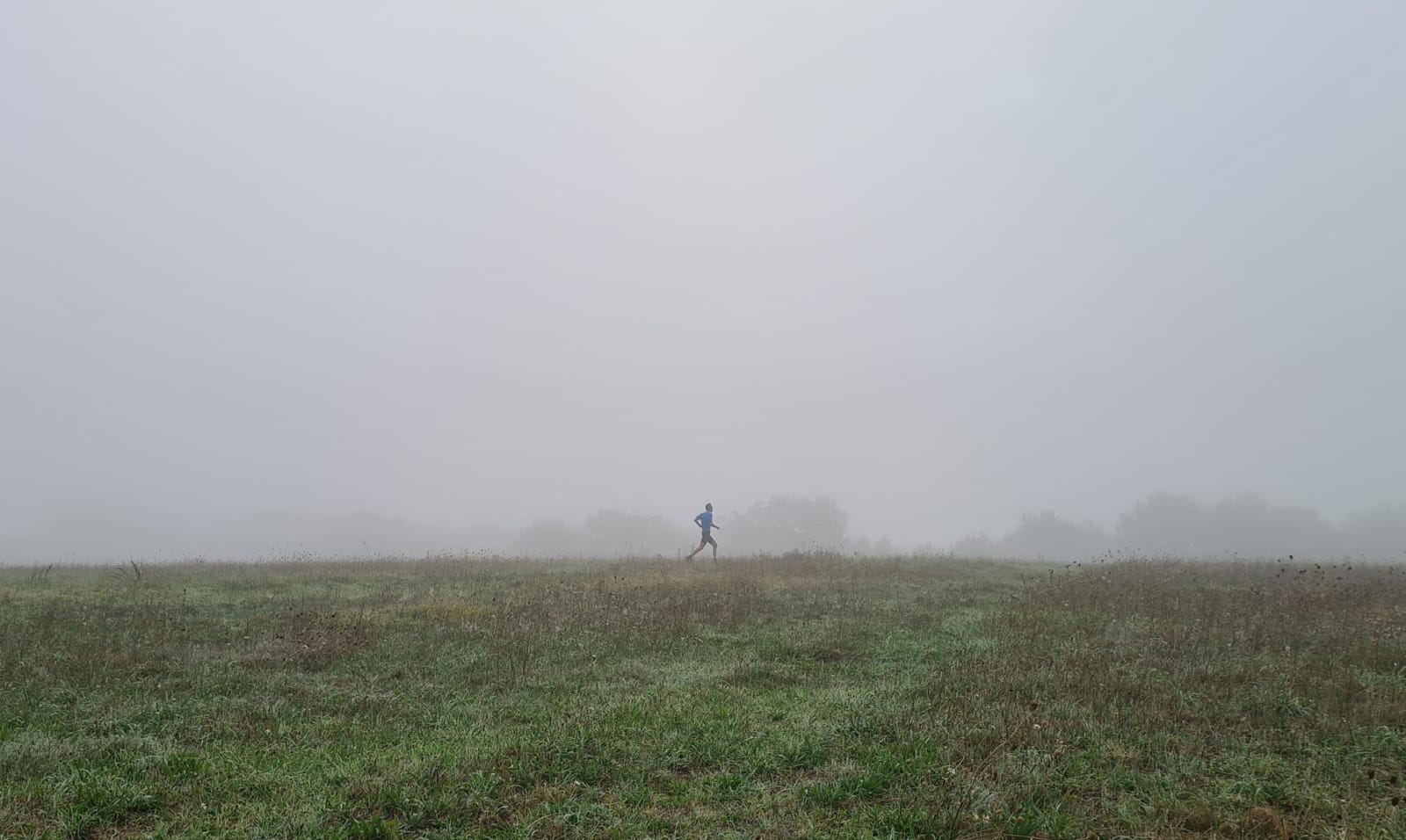 Sport photo 002a69d7-901e-594a-85ea-b41f3cabff85