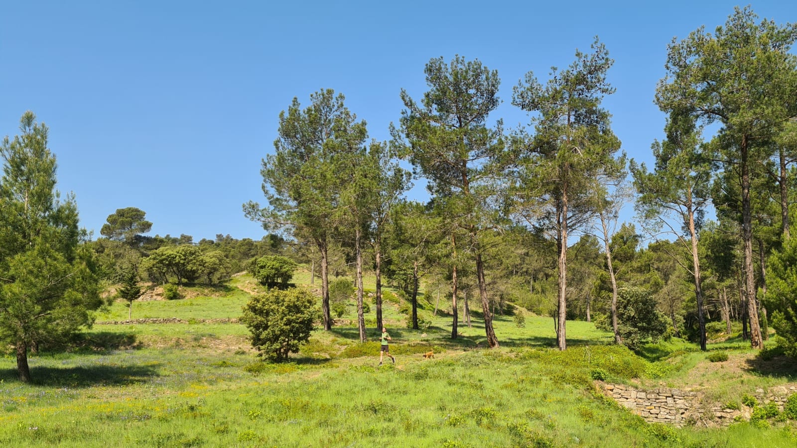 Sport photo 0d406cfc-d234-54b8-aa09-67304a85b0ee