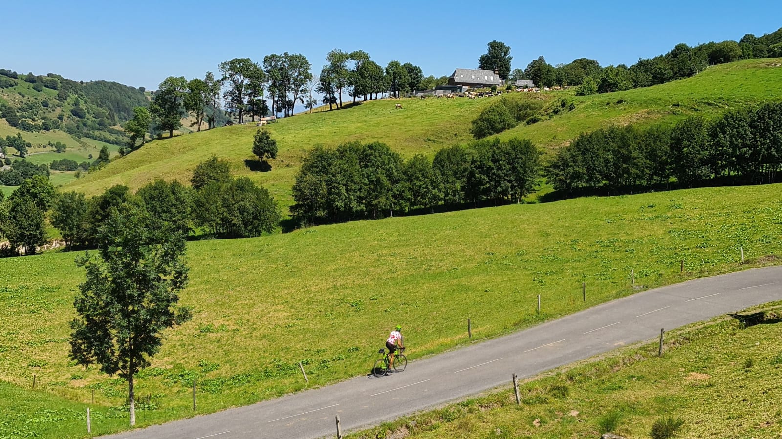 Sport photo 4b5f3af3-ae60-55df-b5fd-370dd6f5d752