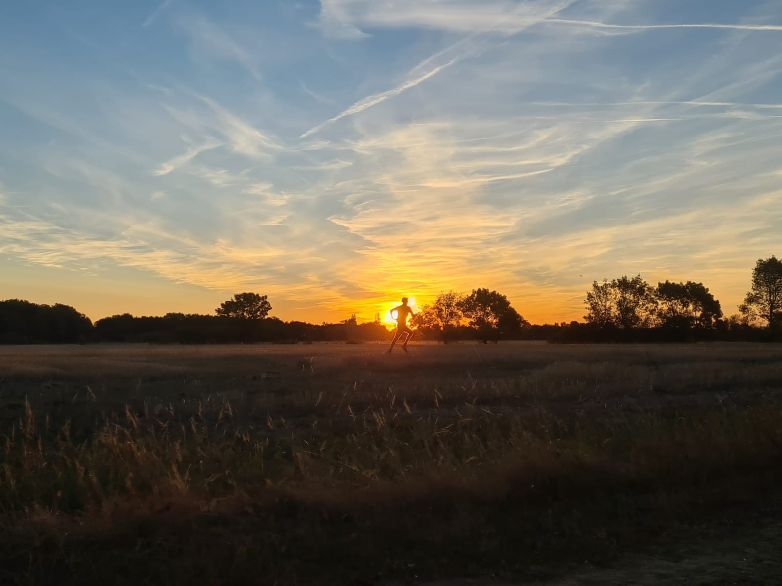 Sport photo d8d46e9f-c8b9-5e09-984f-8690e46c9e9e