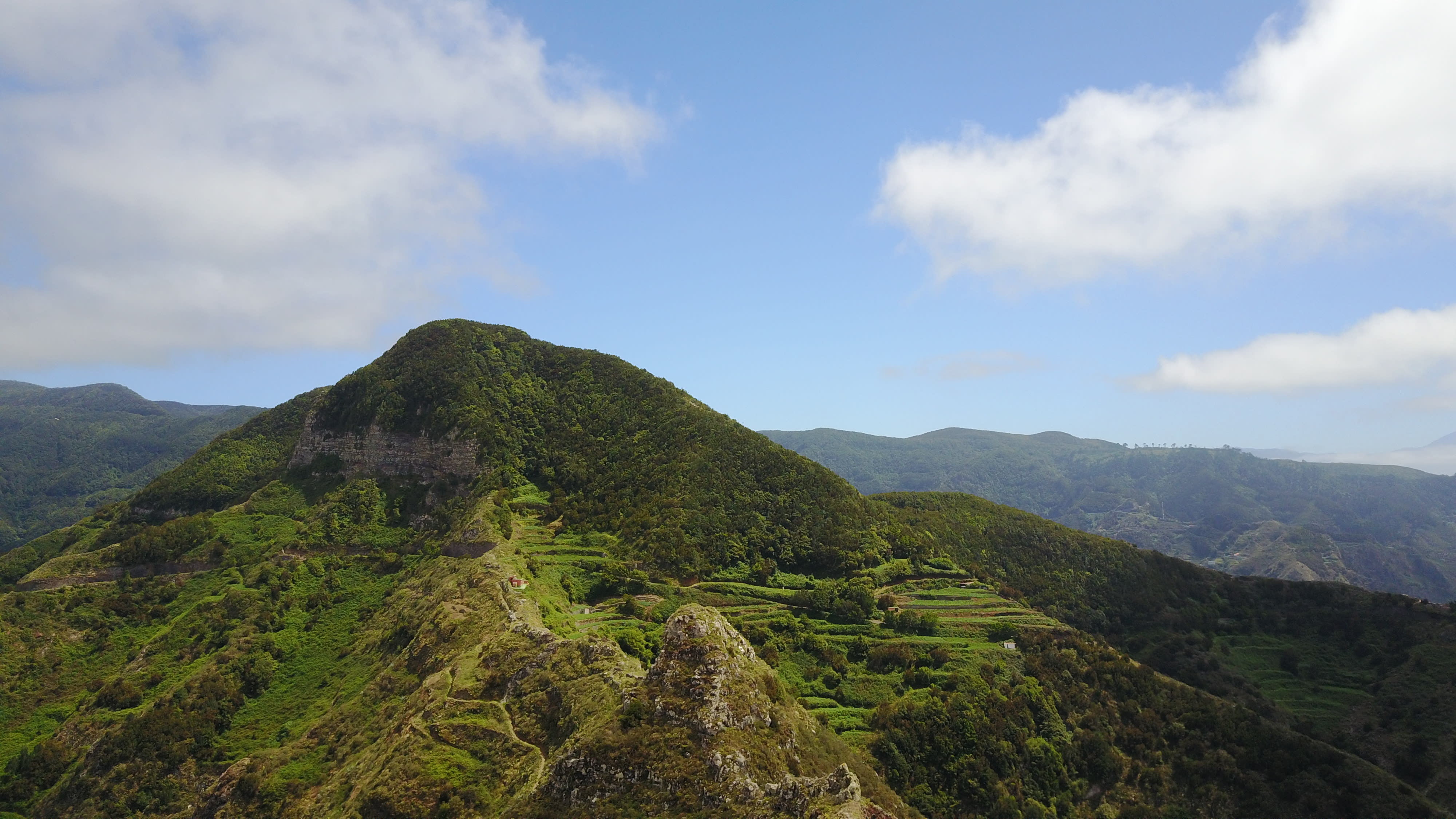 tenerife photo 4daa66e6-15e5-5f3d-b048-d3a30934ee37