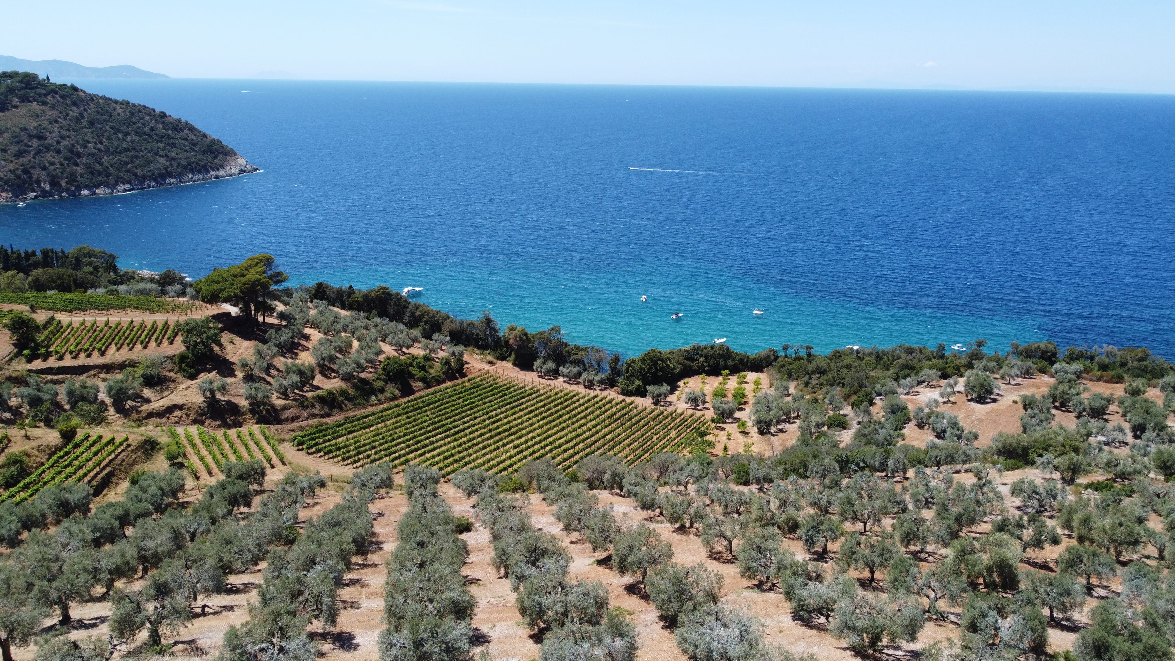 italy photo 2d8066e6-6fde-59a7-a7d4-f6aaaa886074