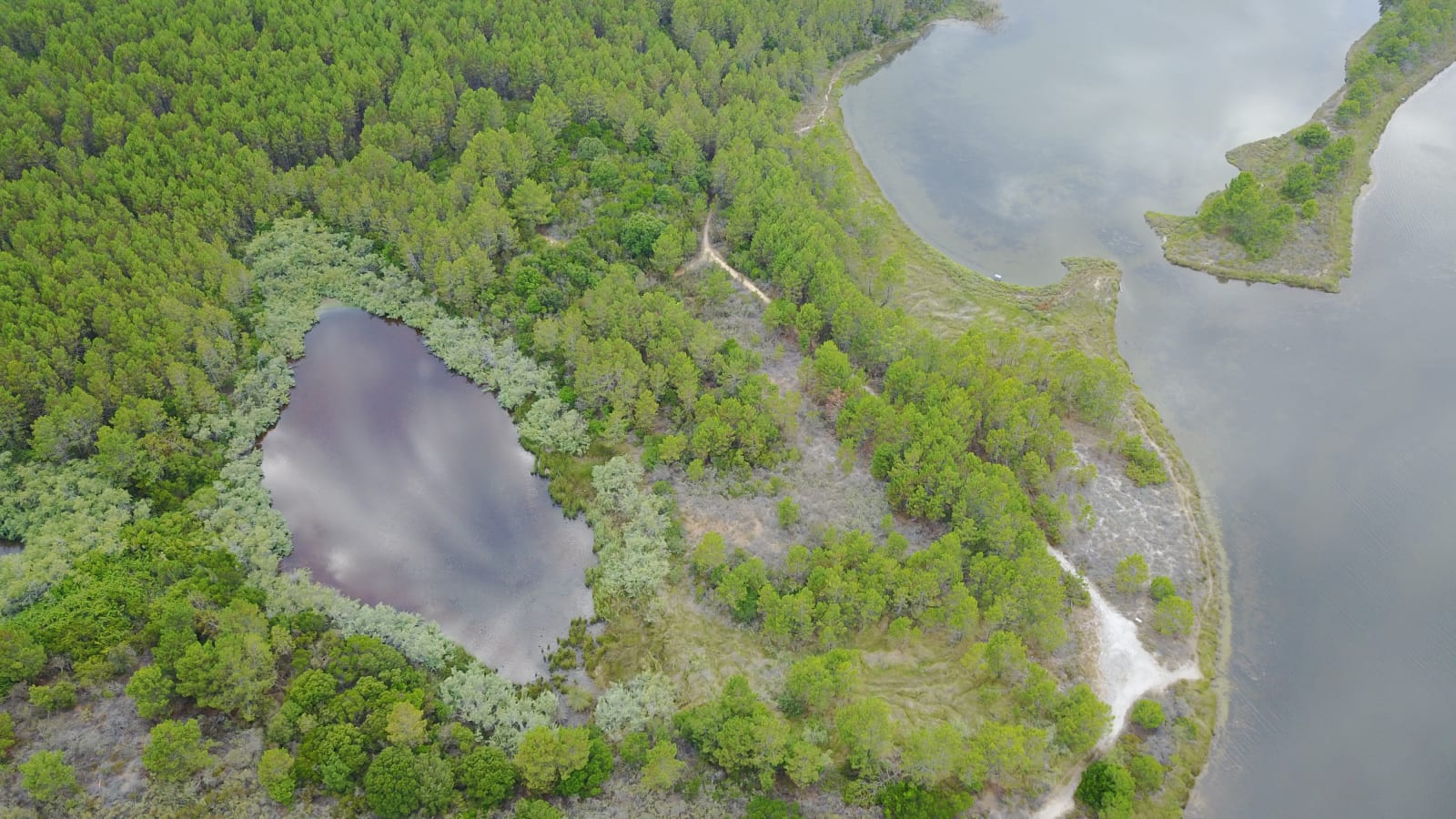 corsica photo 2d7eae7a-b7d9-5ebd-b392-d5952a4d1d49