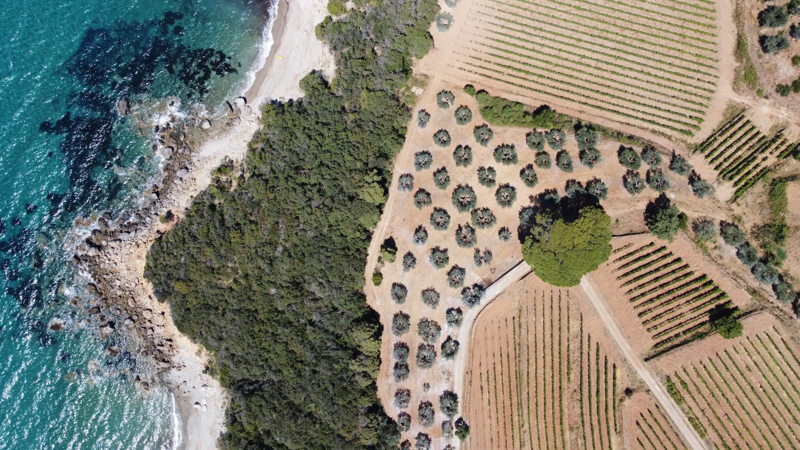 italy photo 285f2f6f-c9cf-5f09-a185-0ee9c0d2ffe0