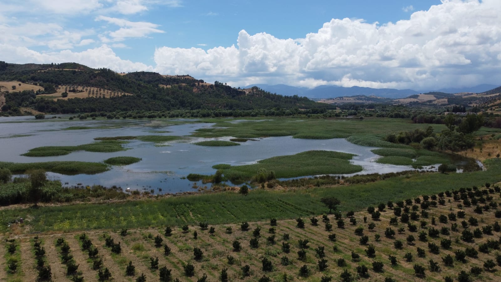 italy photo c9689070-9fde-5633-9420-0ae9ce711ea5