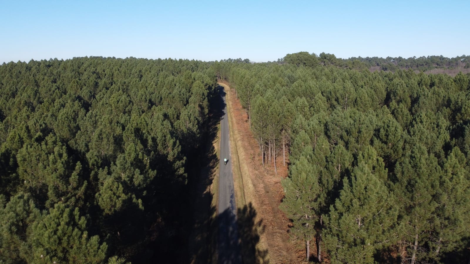 Sport photo d1c85b6e-e205-5544-820d-64f561974698