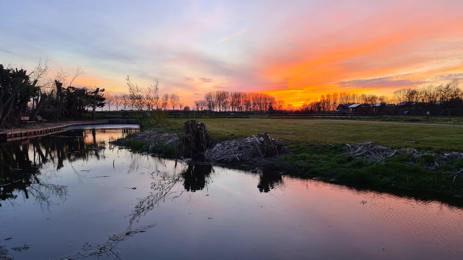 netherlands photo 7020ce3f-bc1a-52c0-91fd-66e2382f6658