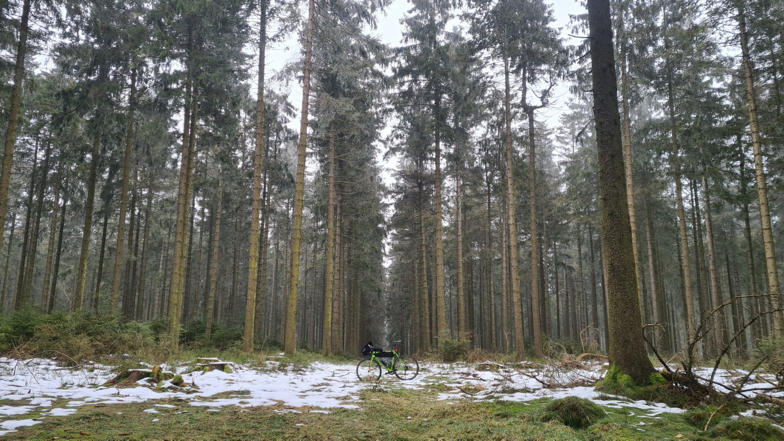 belgium photo 1413b25f-da37-5633-88c4-f51108c448fc