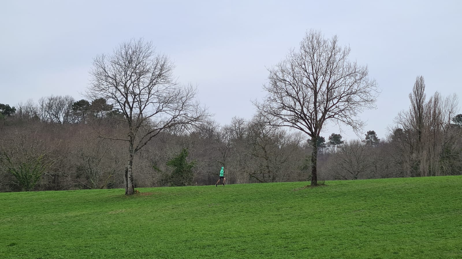 Sport photo 434b799c-2161-5e64-95c5-c749791848a2