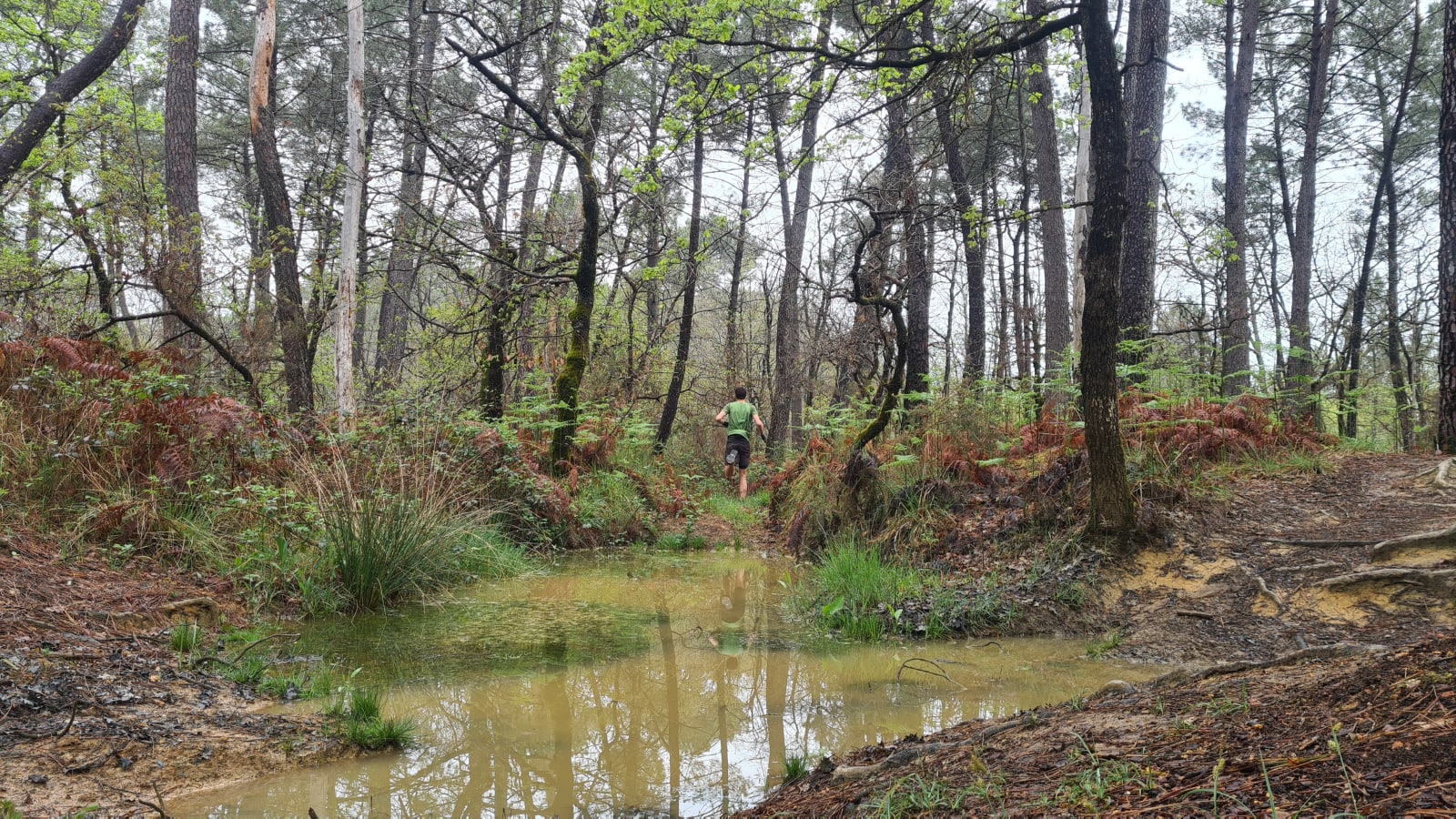 Sport photo adad18a8-c3c9-5829-aa16-e24c1603574e