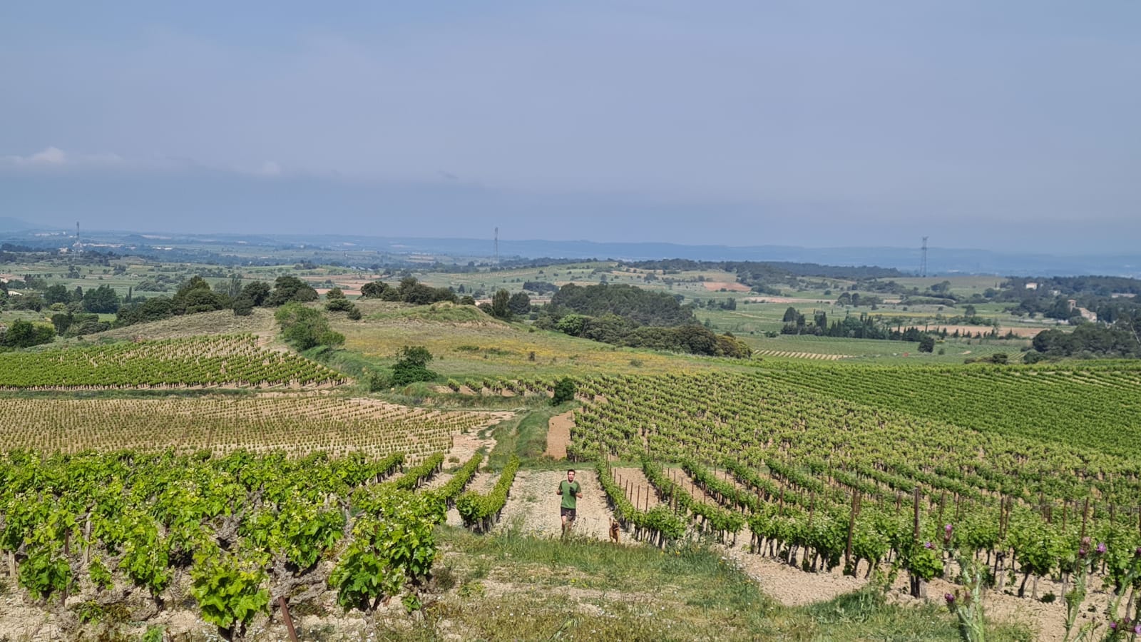 Sport photo c640682e-9d95-5da7-8a2c-d0a654bfba52