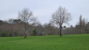 Sport photo 434b799c-2161-5e64-95c5-c749791848a2