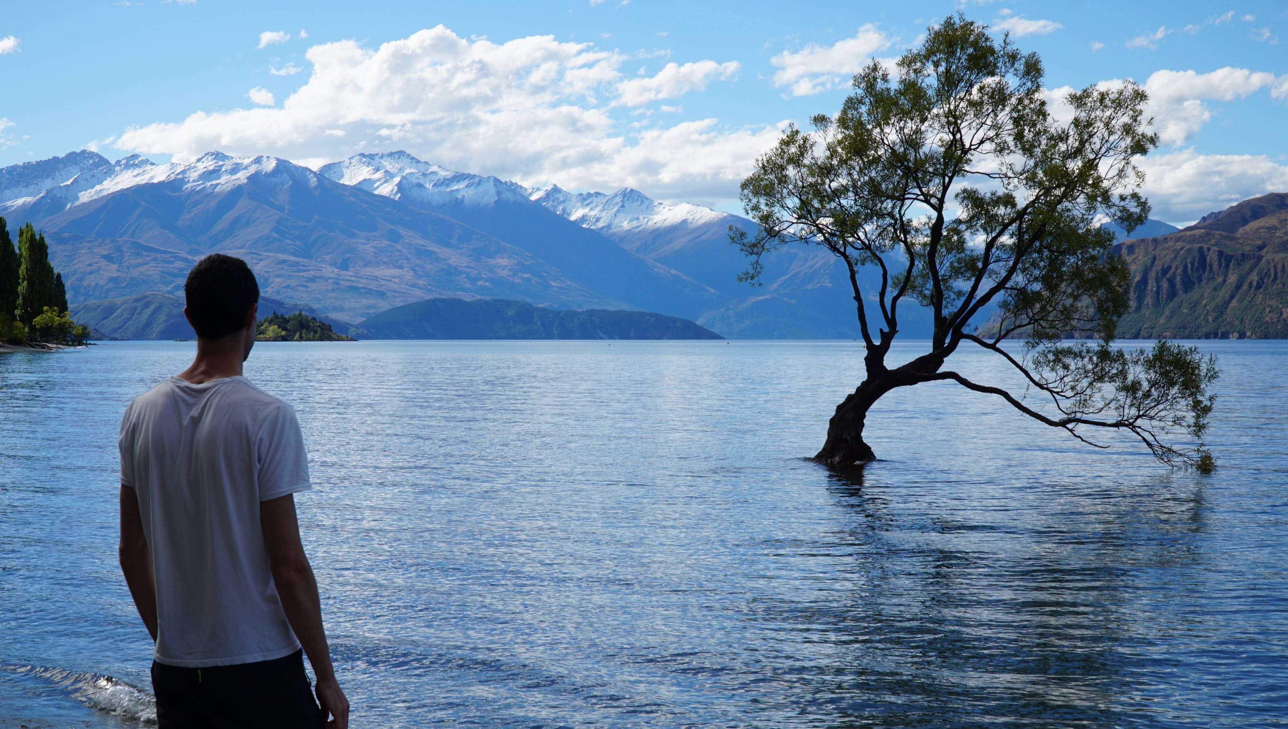 new-zealand photo d2c33203-391d-59f5-8277-ee91b03750e6