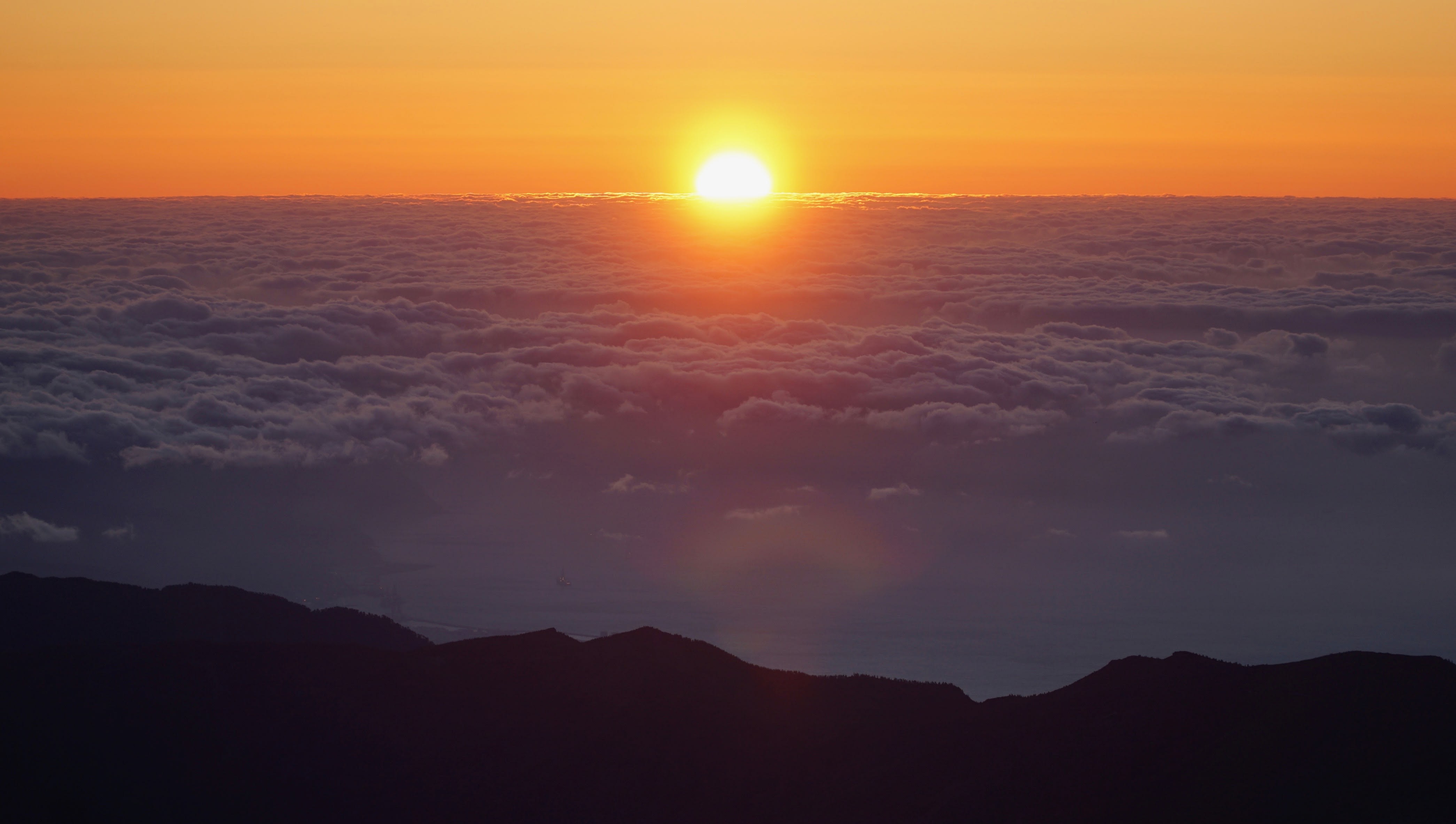 tenerife photo 3f132da3-3401-5b9d-85b4-050e4ede2af2