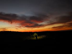 Sport photo e0ccd728-9b7a-5b75-a269-d75b89e2d891