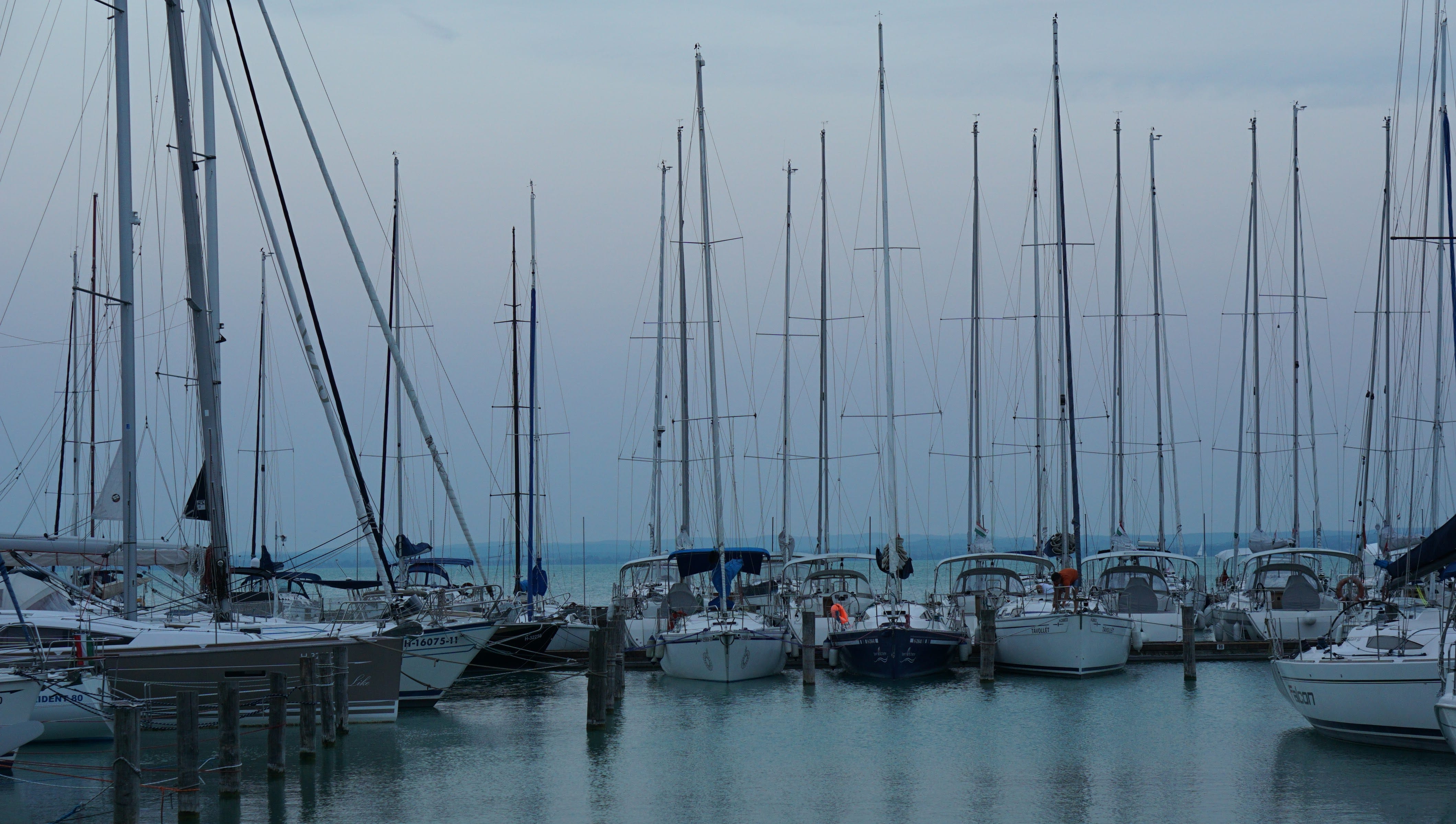 hungary photo 8b3f8a38-0108-519d-90d6-62572e355683