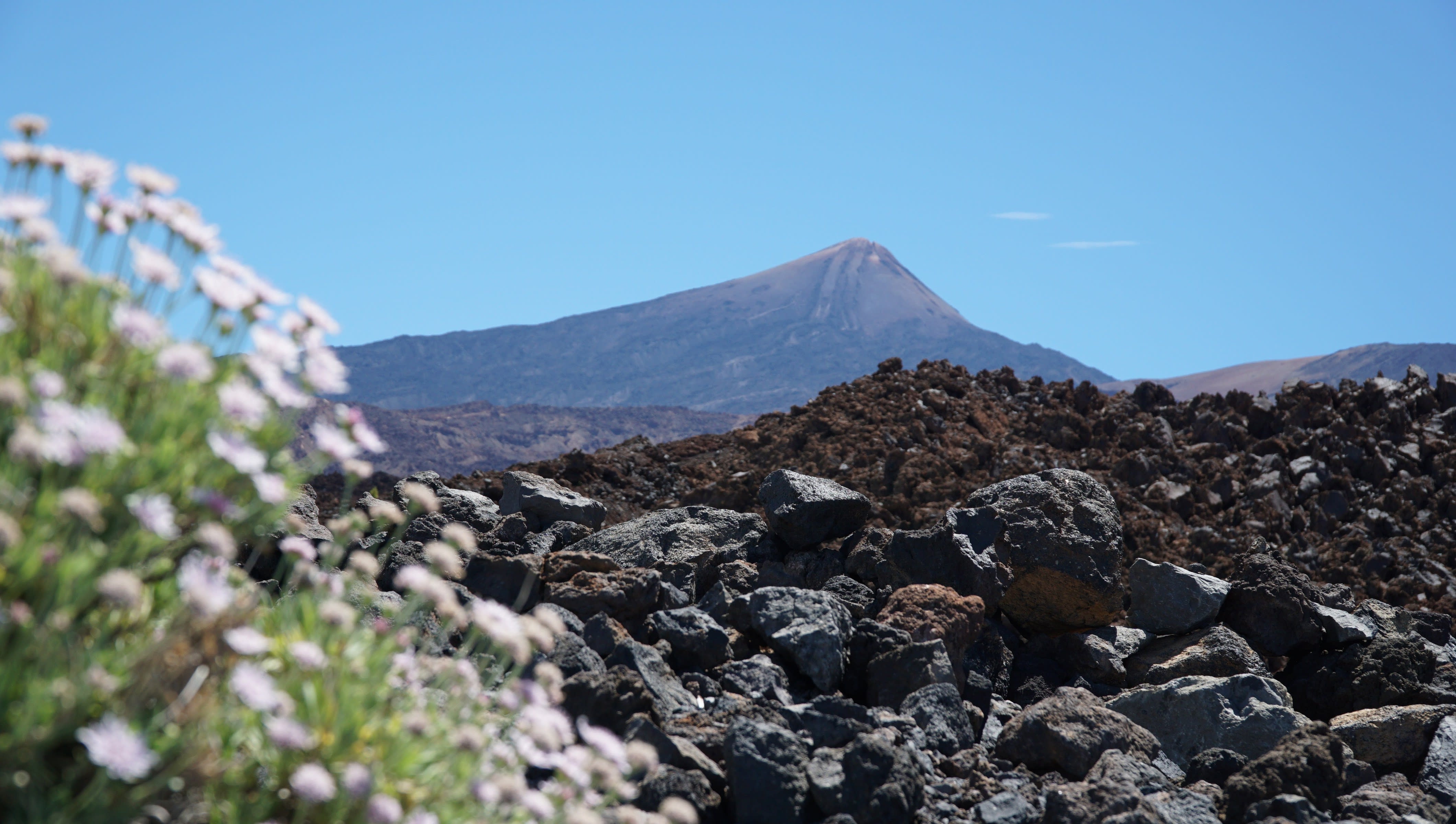 tenerife photo 64628c4d-ca27-5c5b-aef7-08f981f0a76d