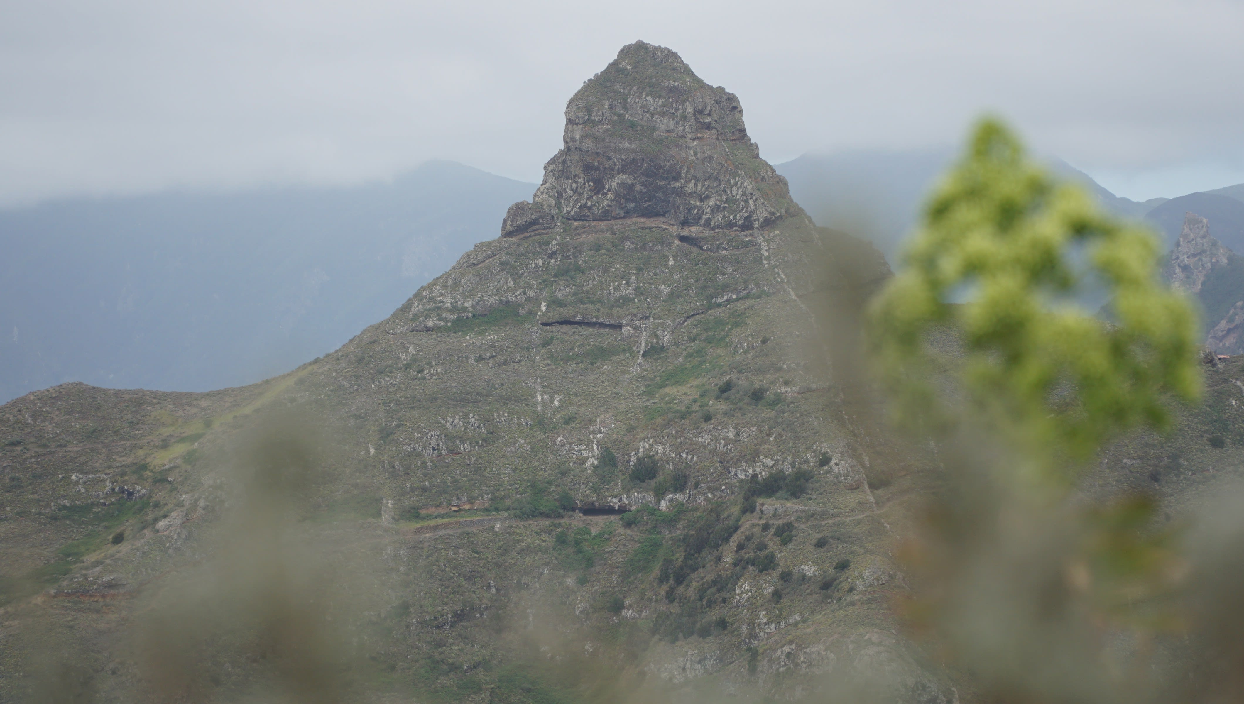 tenerife photo 9ed713f1-22d1-5de0-834c-733853470e37