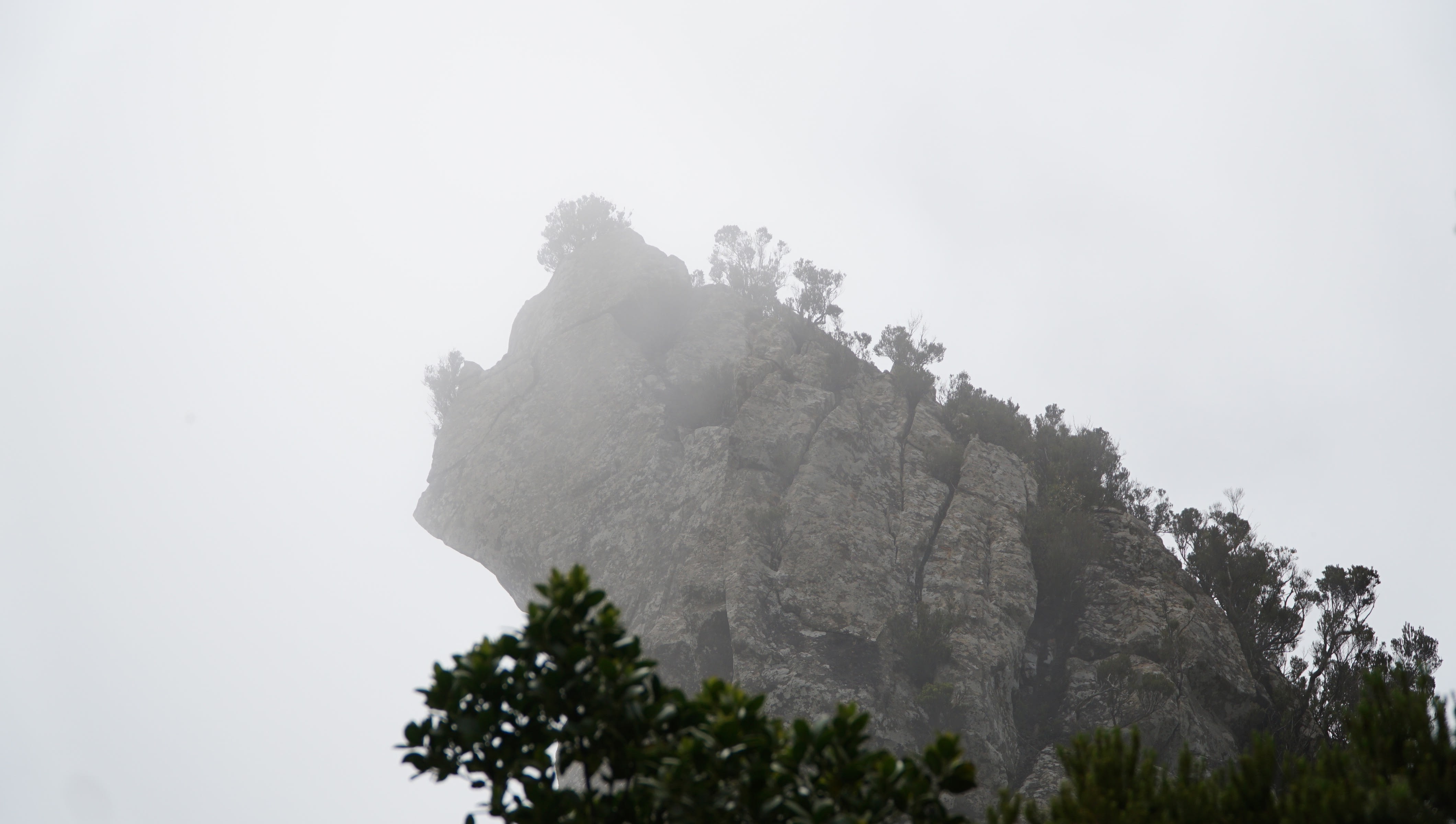 tenerife photo 9362465c-6fd3-5d99-8bbc-f258d1234040