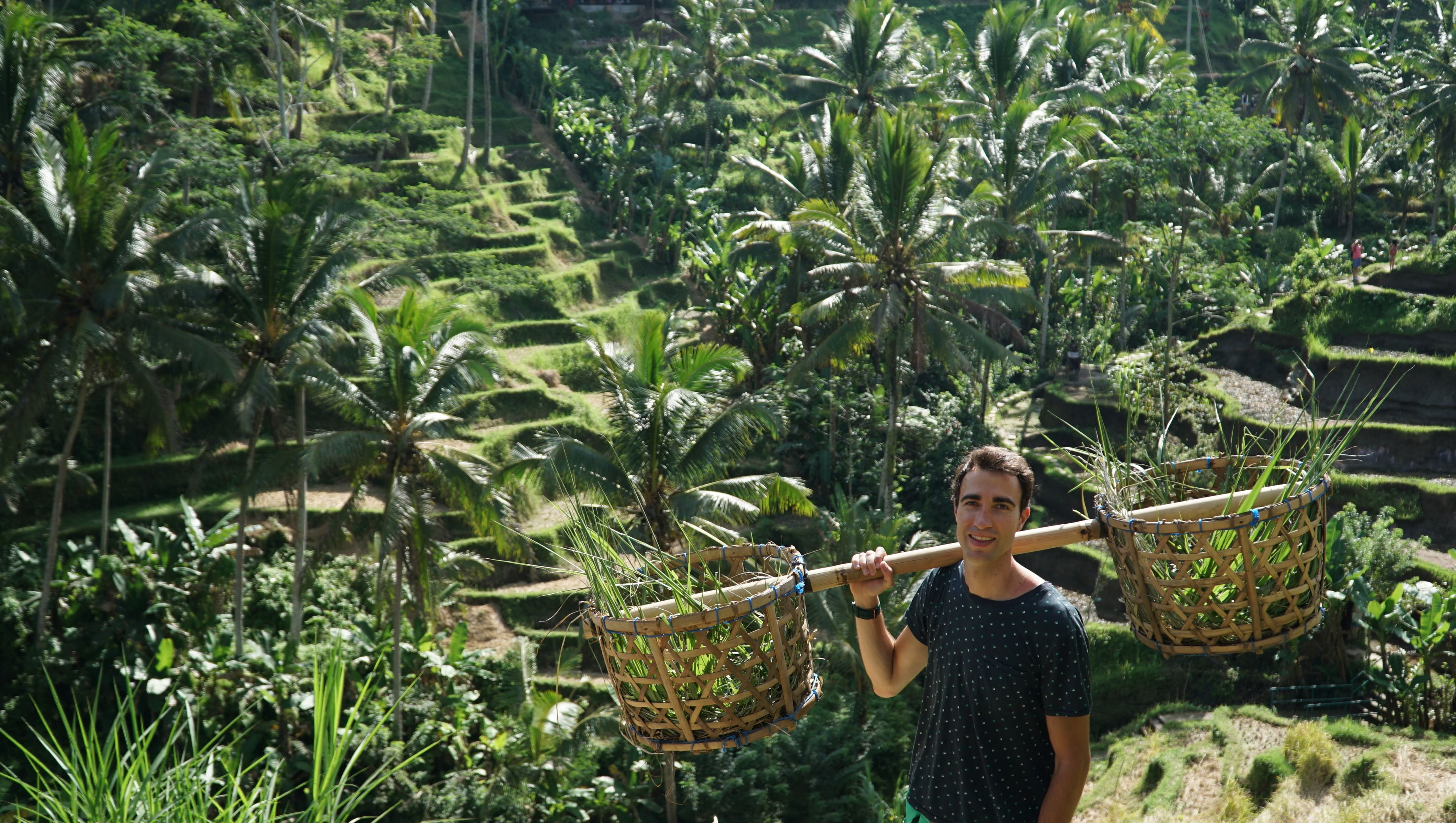 indonesia photo eca17394-1a7b-5e33-ad34-267157342d92