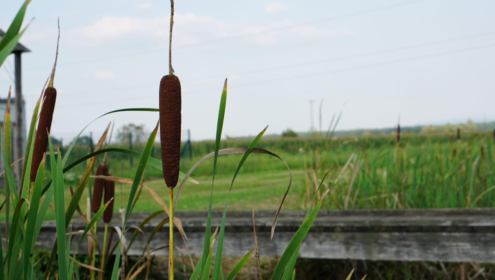 croatia photo b3e11e16-5d41-57cb-a859-db50b4a22bf2