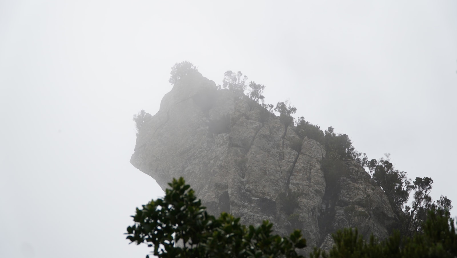 tenerife photo 9362465c-6fd3-5d99-8bbc-f258d1234040