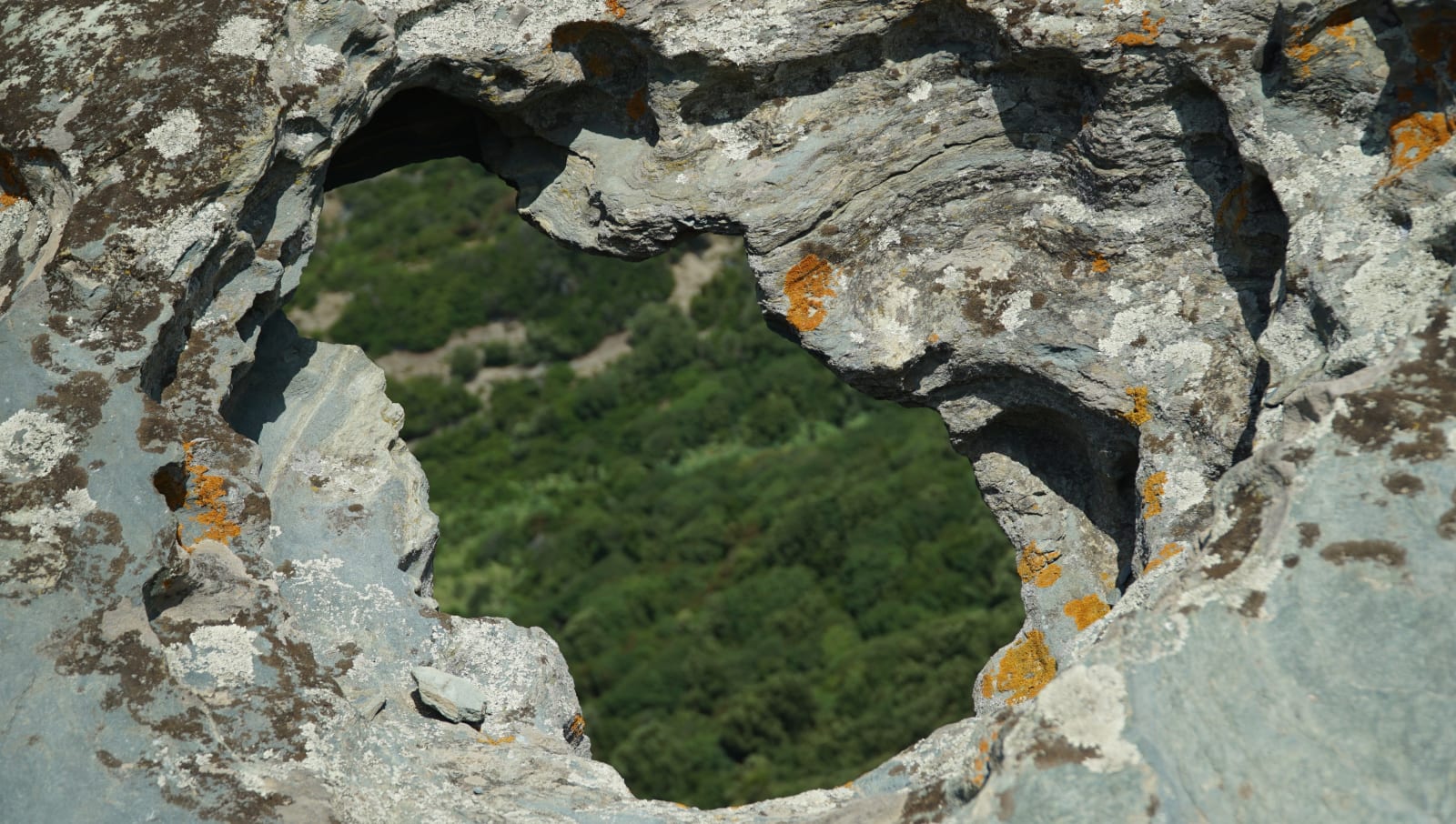 corsica photo 1c48a536-8085-53af-917a-71a1ca33c089