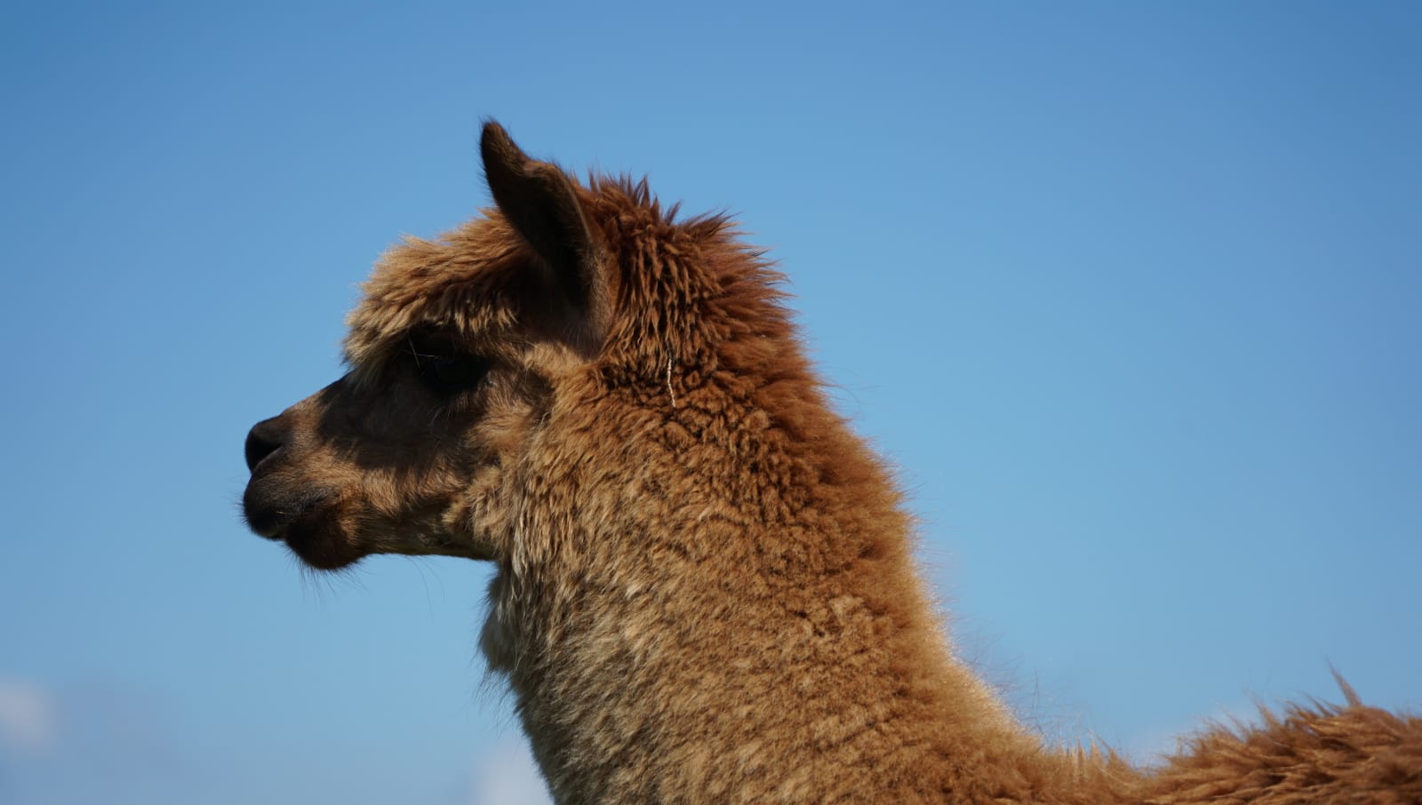 austria photo 6e71cbfd-7f7a-5aae-b340-1d5f33af74c7