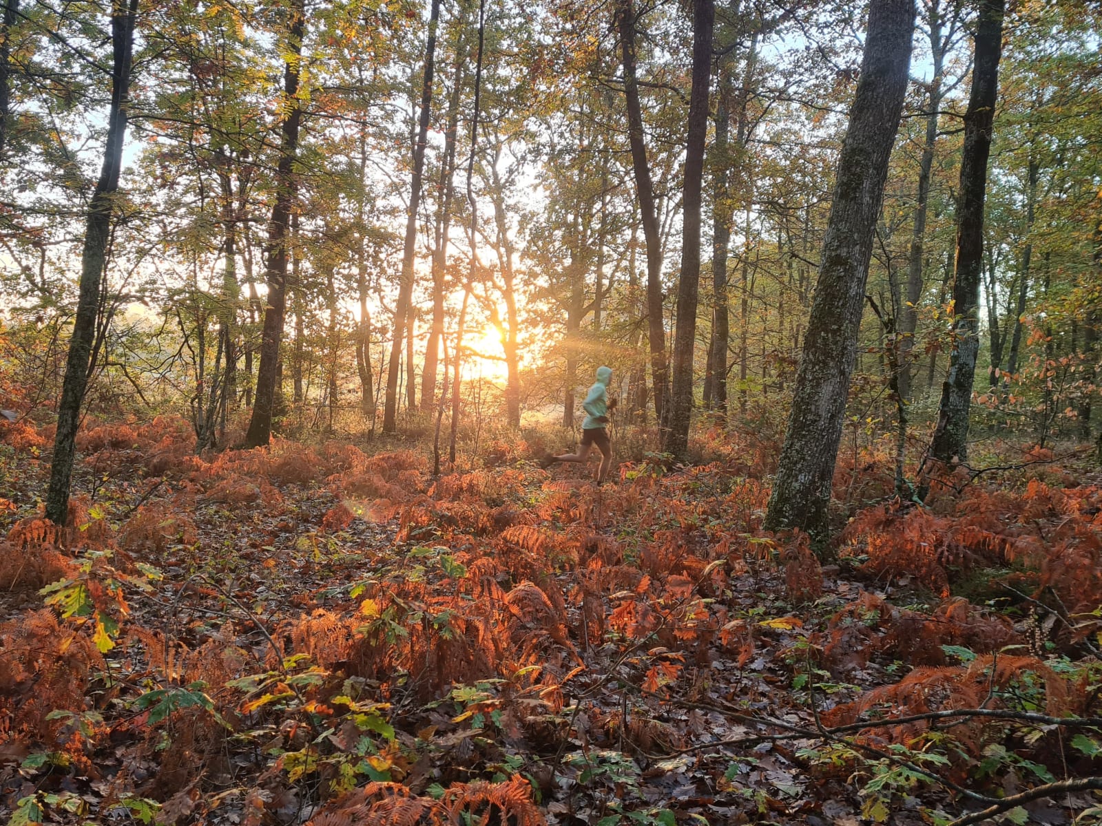 Sport photo d478c9d0-9176-5c39-9294-f14f649f7ef3