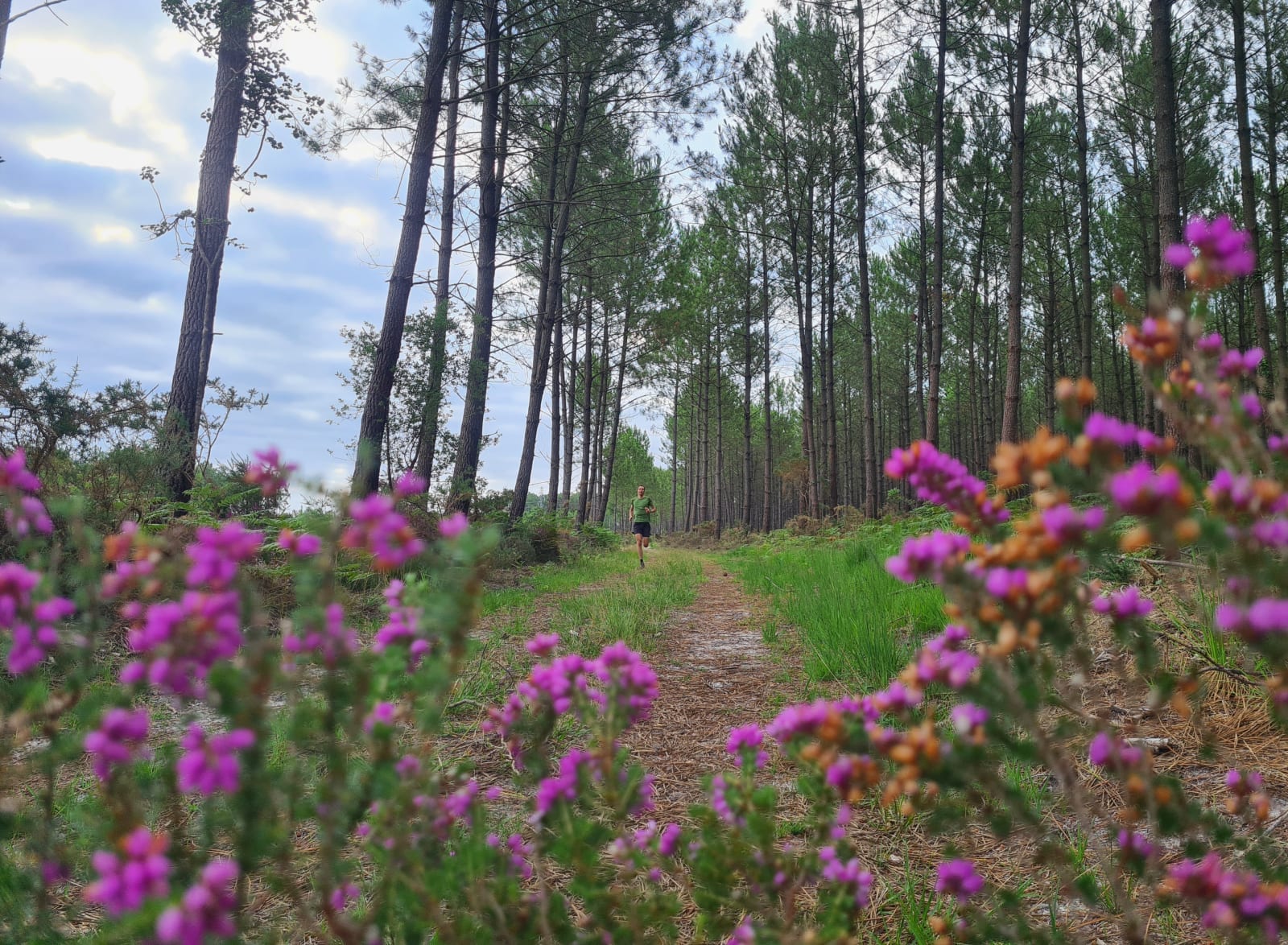 Sport photo 11f14006-1ad0-58e3-a56d-de9d3afffa38