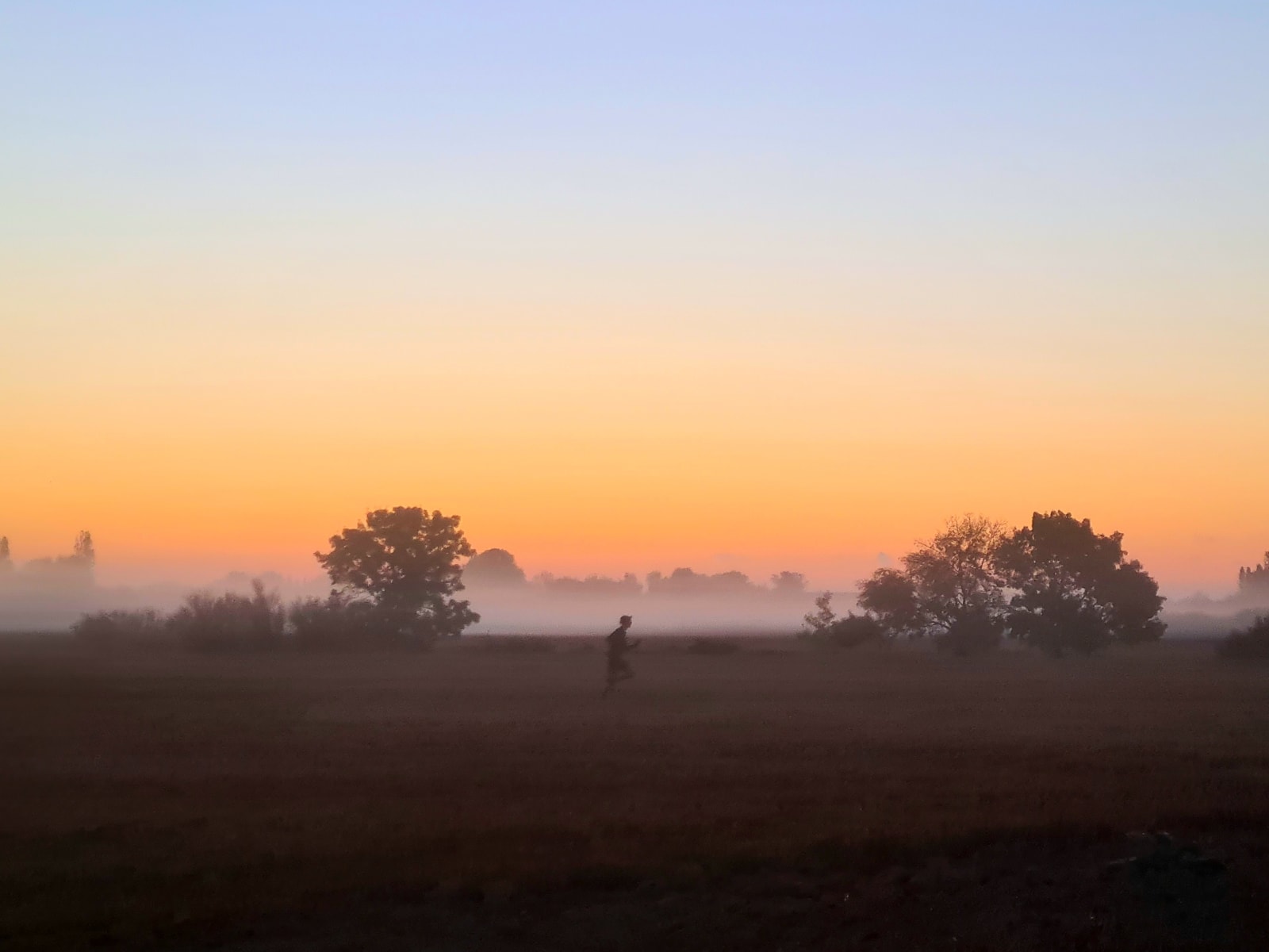 Sport photo 1c718a3b-4e0e-5258-aa19-aa5e1fa517d3