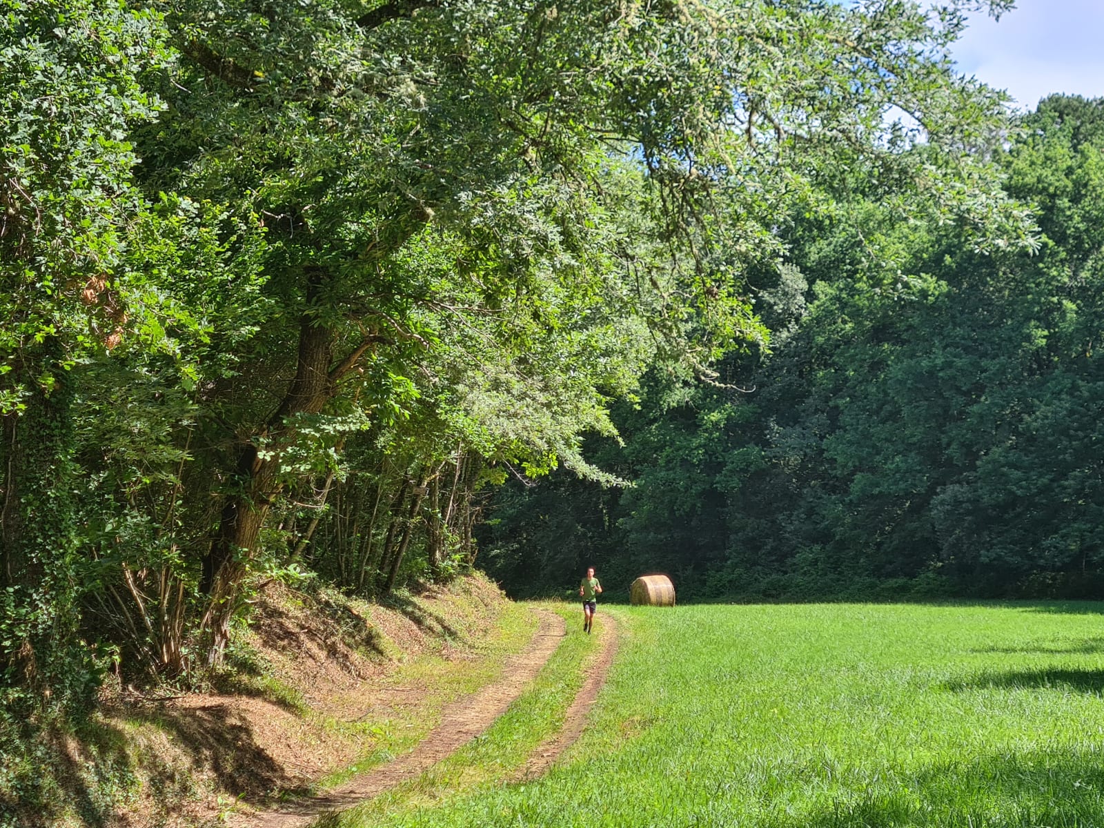 Sport photo 37022363-9276-52a2-9d76-3c8b8419a465