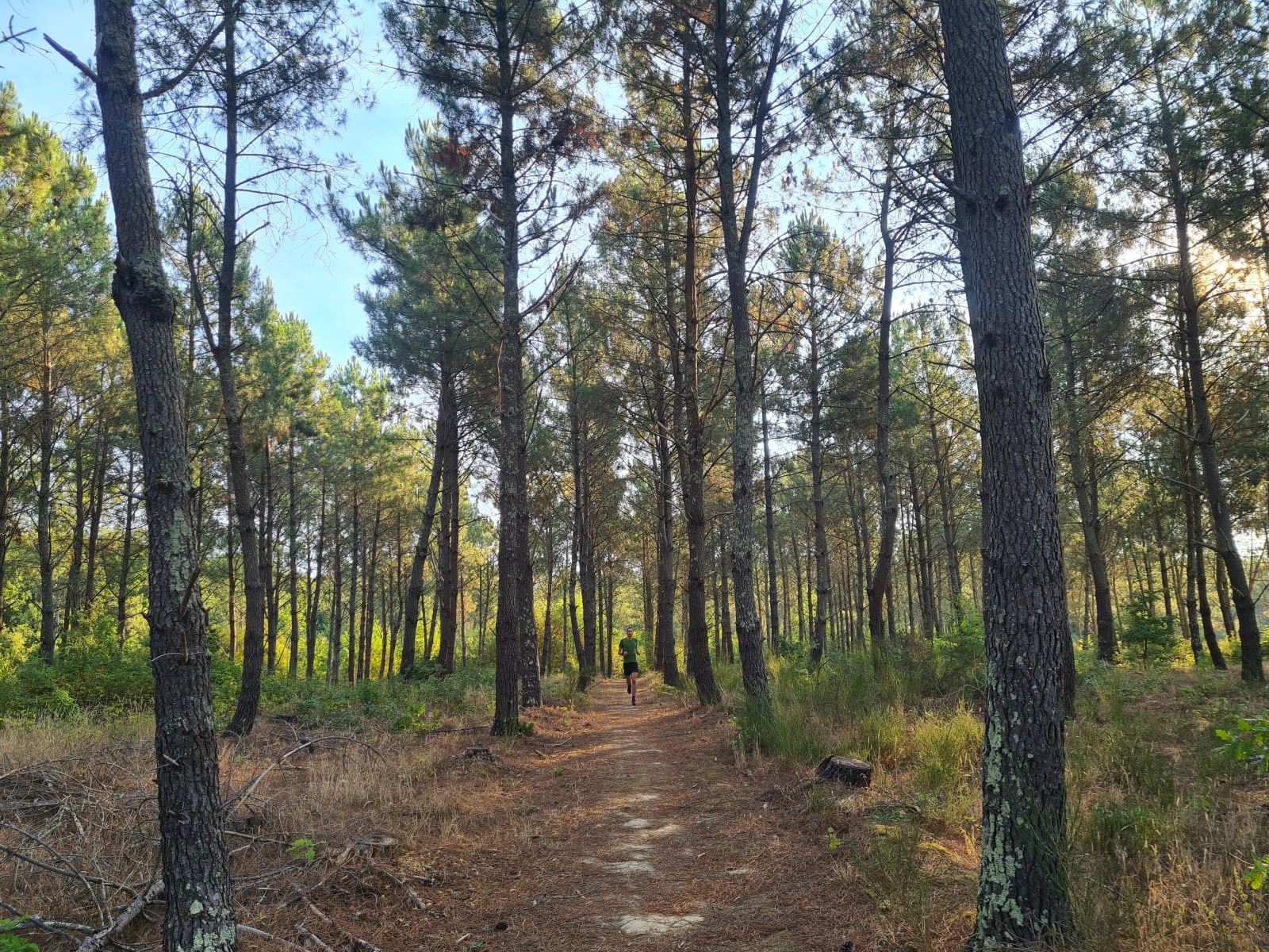 Sport photo b7a16173-16ef-5447-b7a5-04f94a1d960b