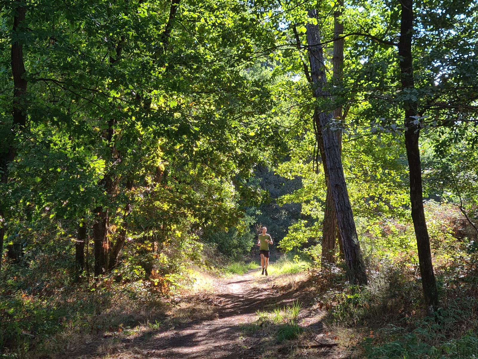 Sport photo f5b7051e-a5fc-56b3-8695-6a044b7ce897