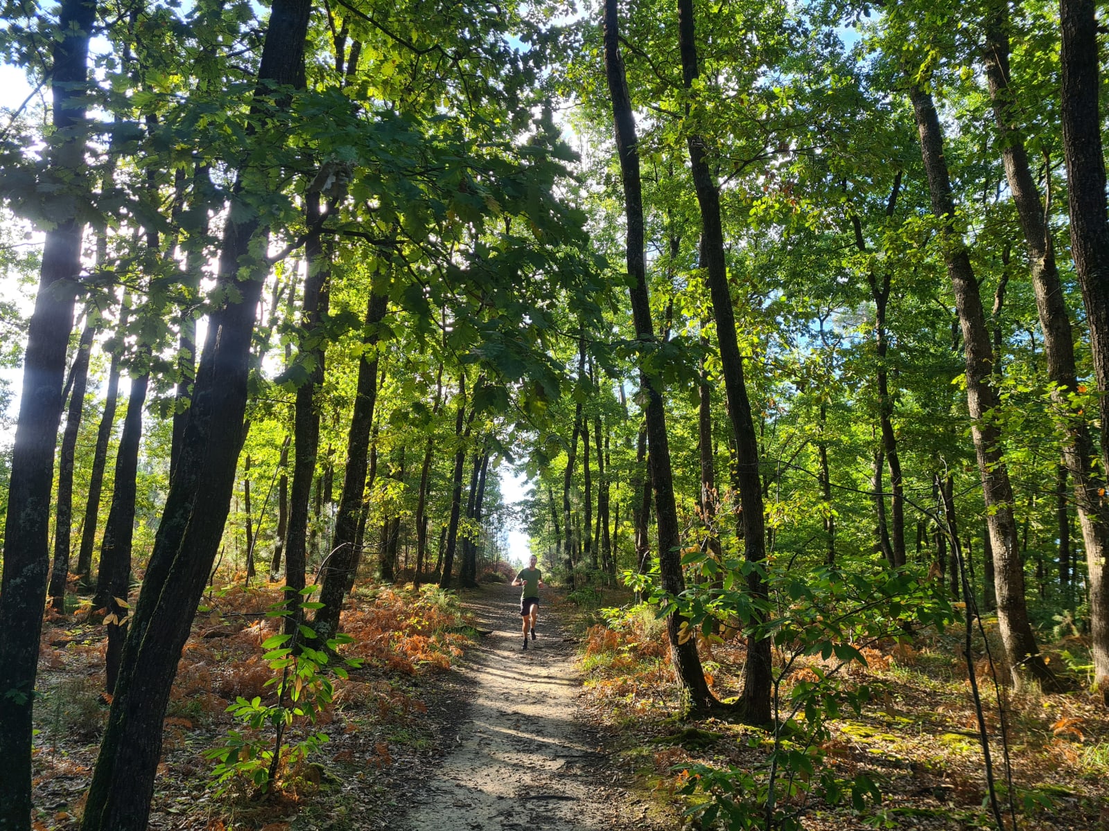 Sport photo c07cd940-191d-5342-9ac4-26ecefc3c665