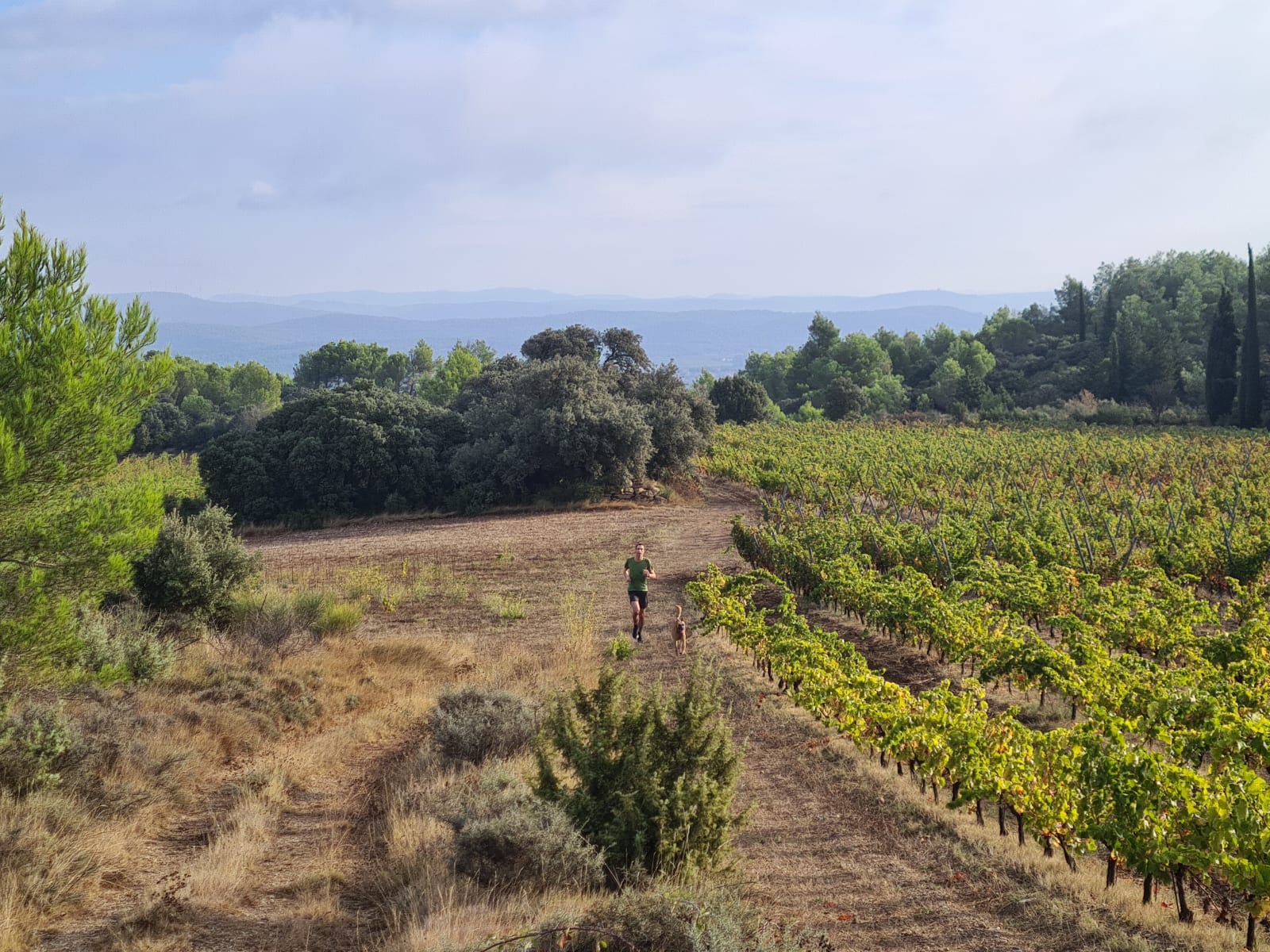 Sport photo fccff890-e0ea-52d5-9dca-262bb14997da