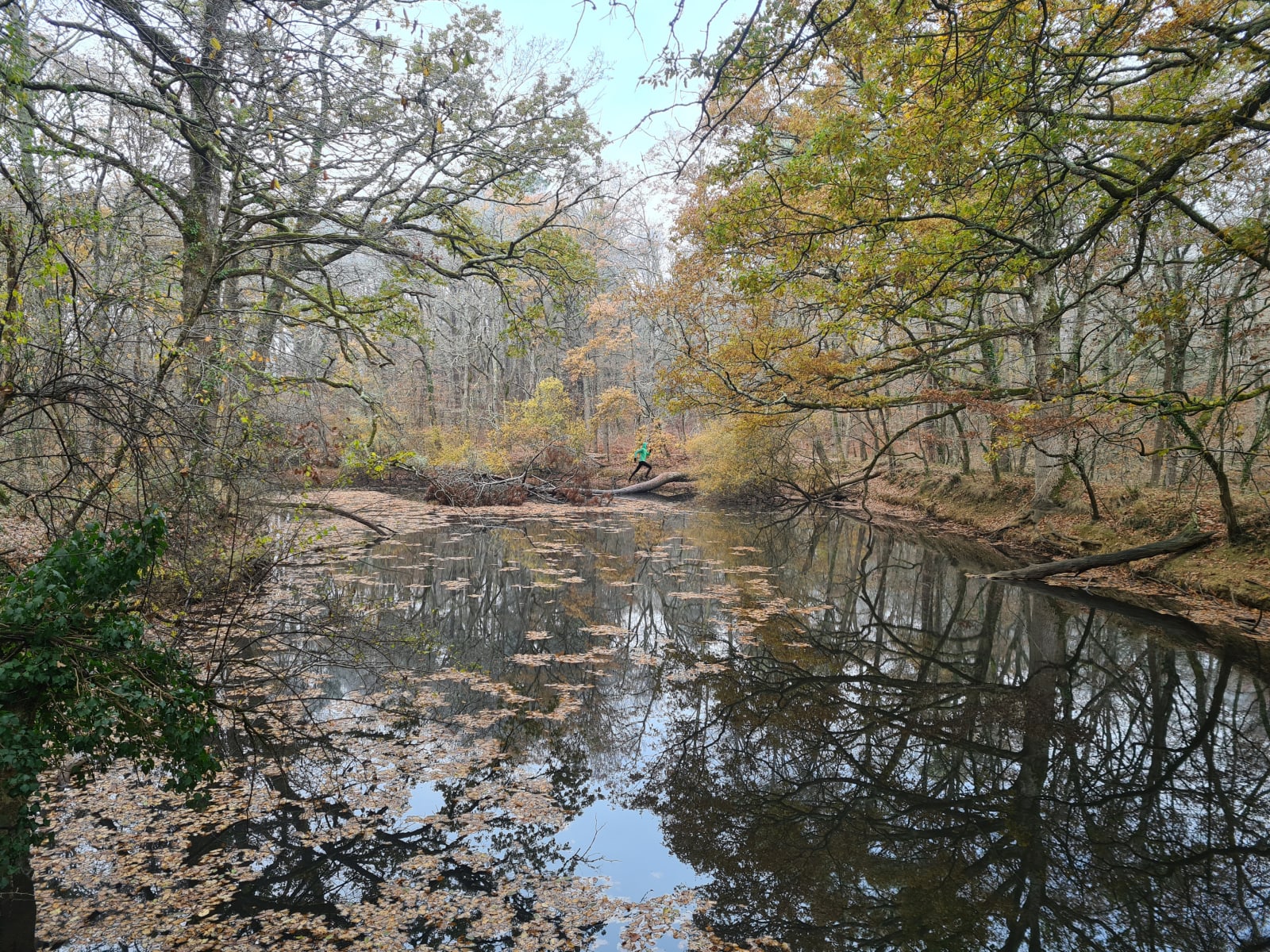 Sport photo 67723a87-c6ca-5c5b-944b-6e266a8c30a9