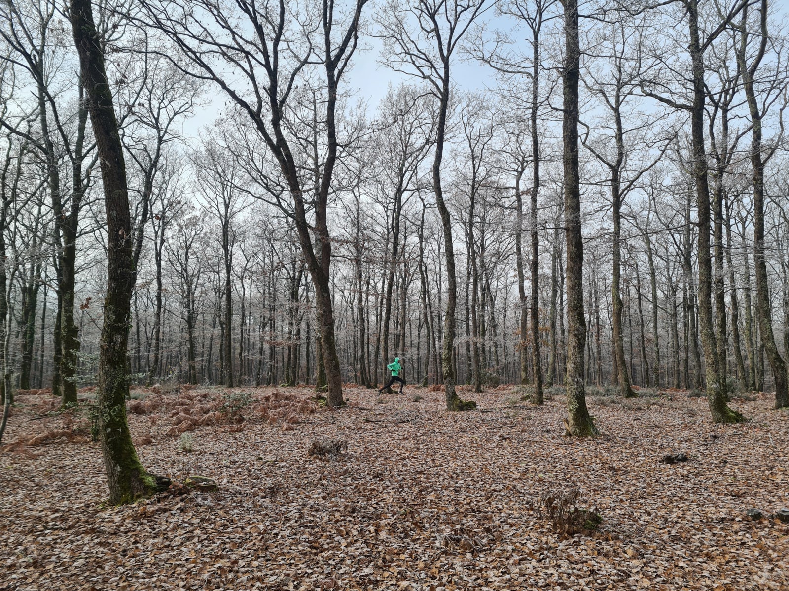 Sport photo 22410a73-3740-599c-b573-6ba2f310b07d