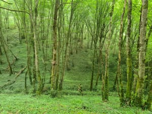 Sport photo 345e10df-9c64-5aee-8977-5bd6afc8f33a