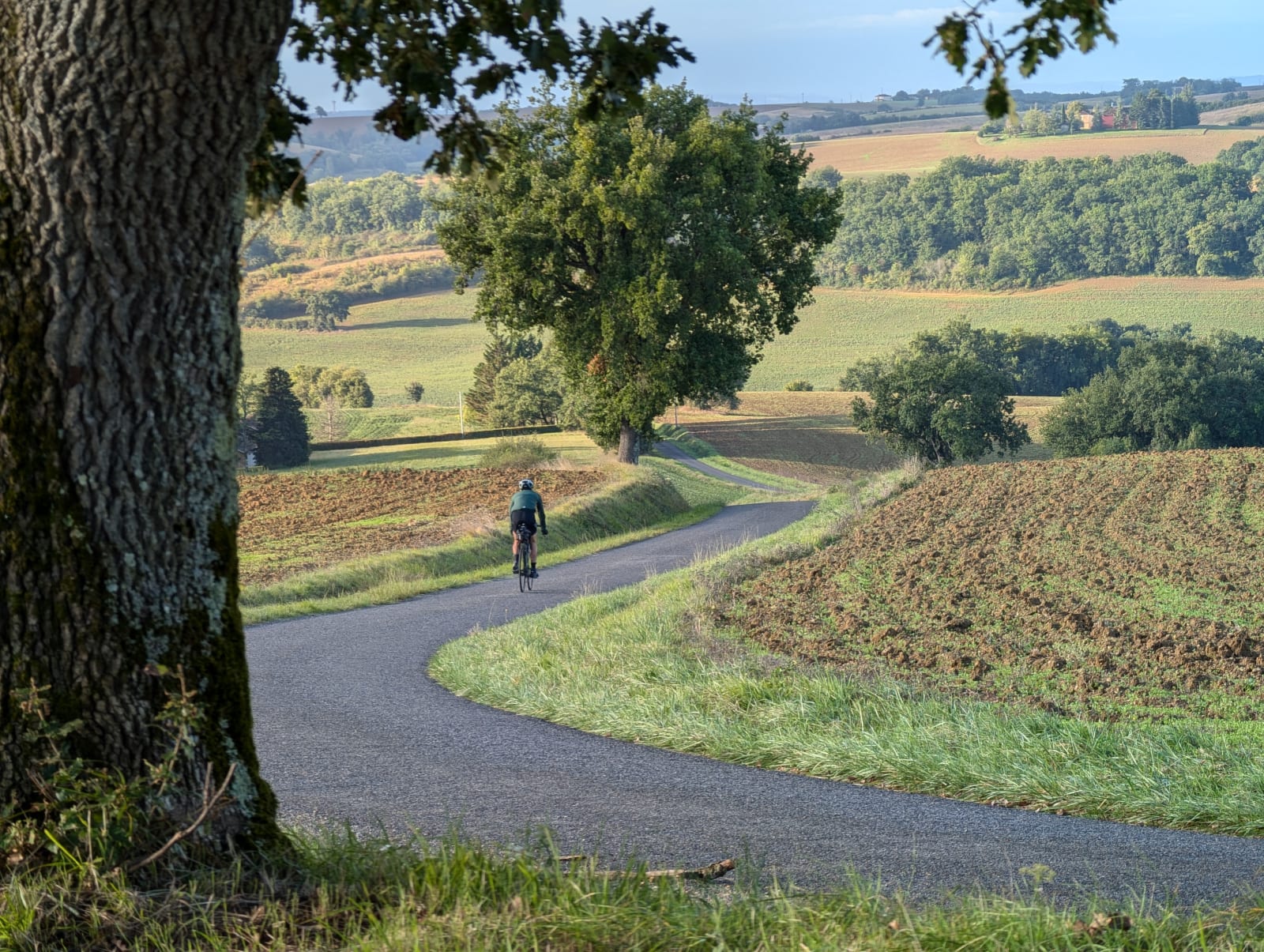 Sport photo 24f4fb6b-858e-50f0-a8b6-acefae243bfc