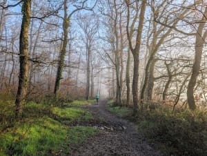 Sport photo d094b681-9ede-5076-810c-f4250c0c5de5