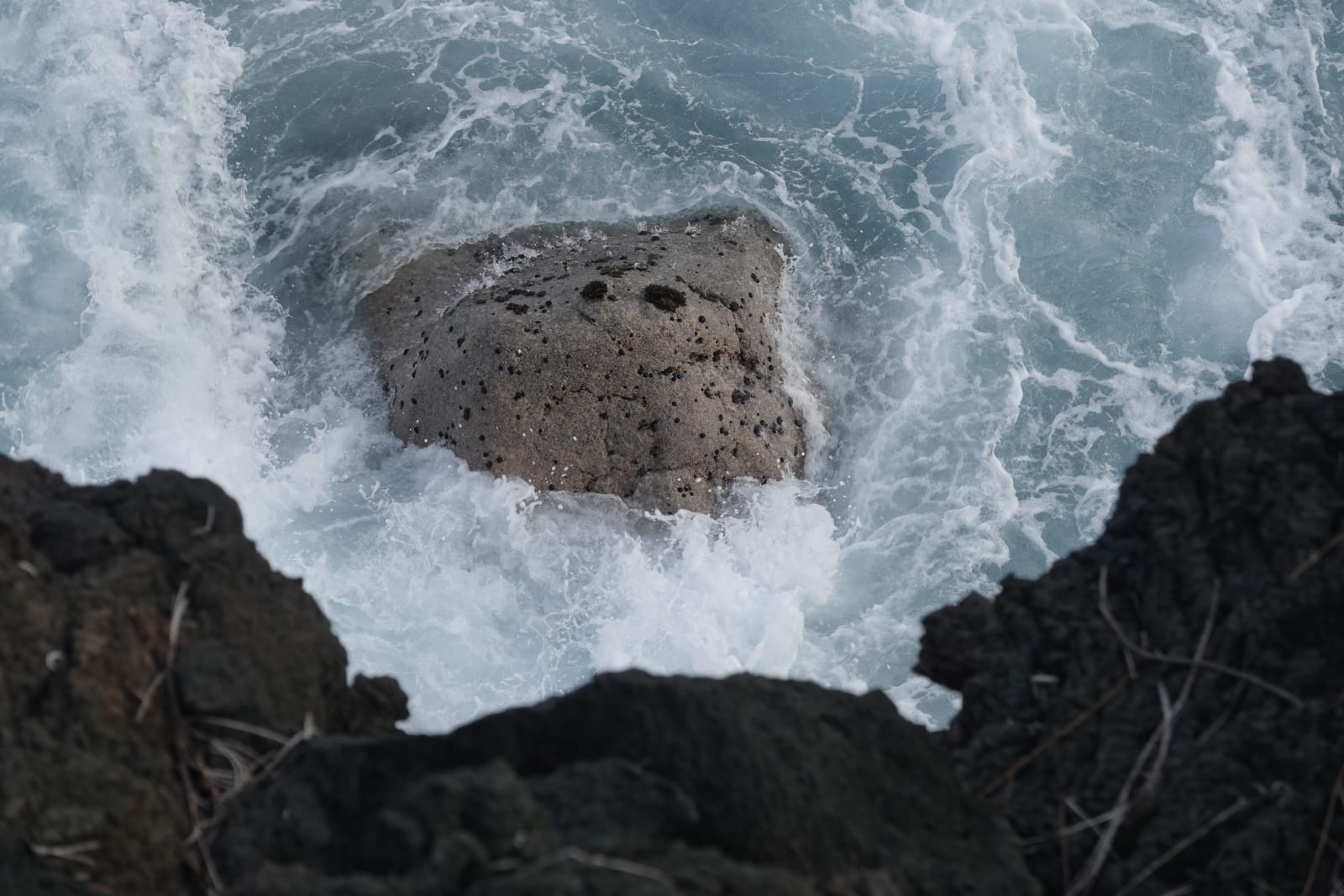 reunion photo ef758f84-d2e4-561a-908d-33831be850b3