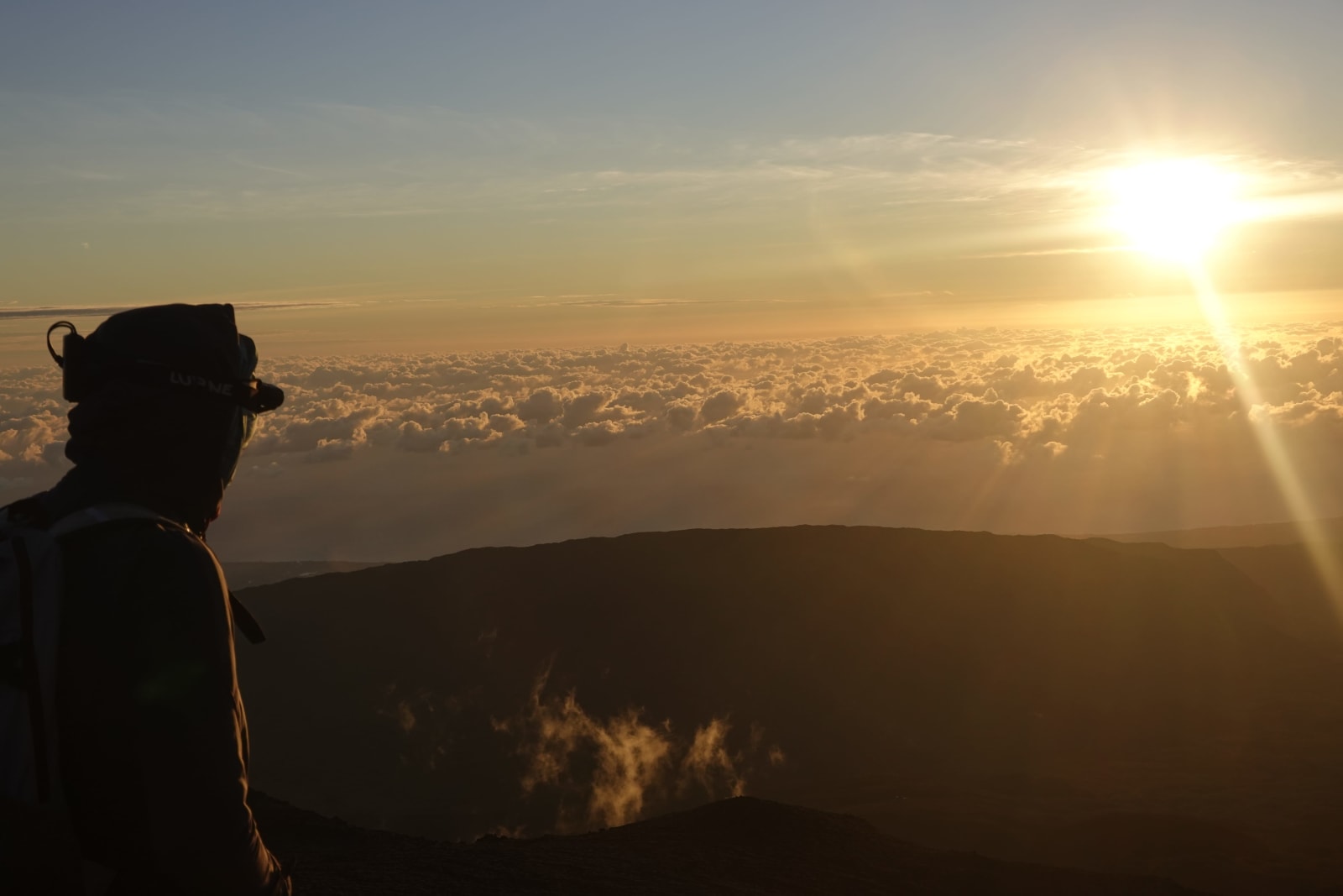 reunion photo b8e1592b-3ea2-5bc1-9fe2-c7d0acb7f9ac