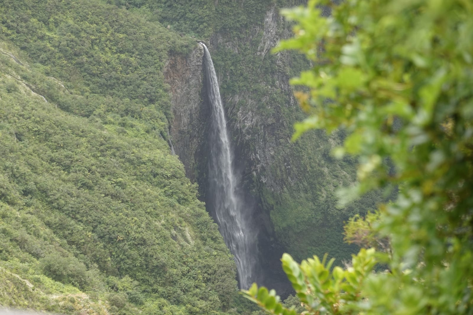 reunion photo b90a684a-8094-5483-9cf7-6f1a867e2699