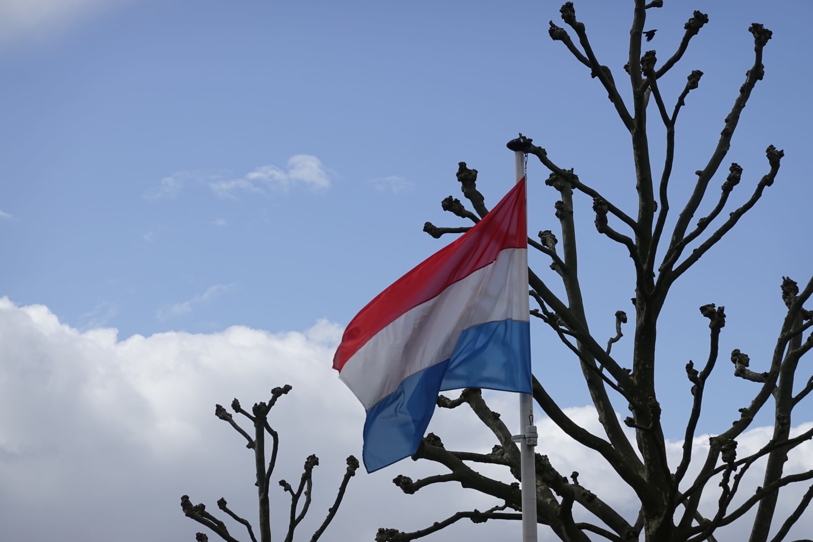 luxembourg photo af69f690-8f6b-5249-b145-33b1cd2f8515