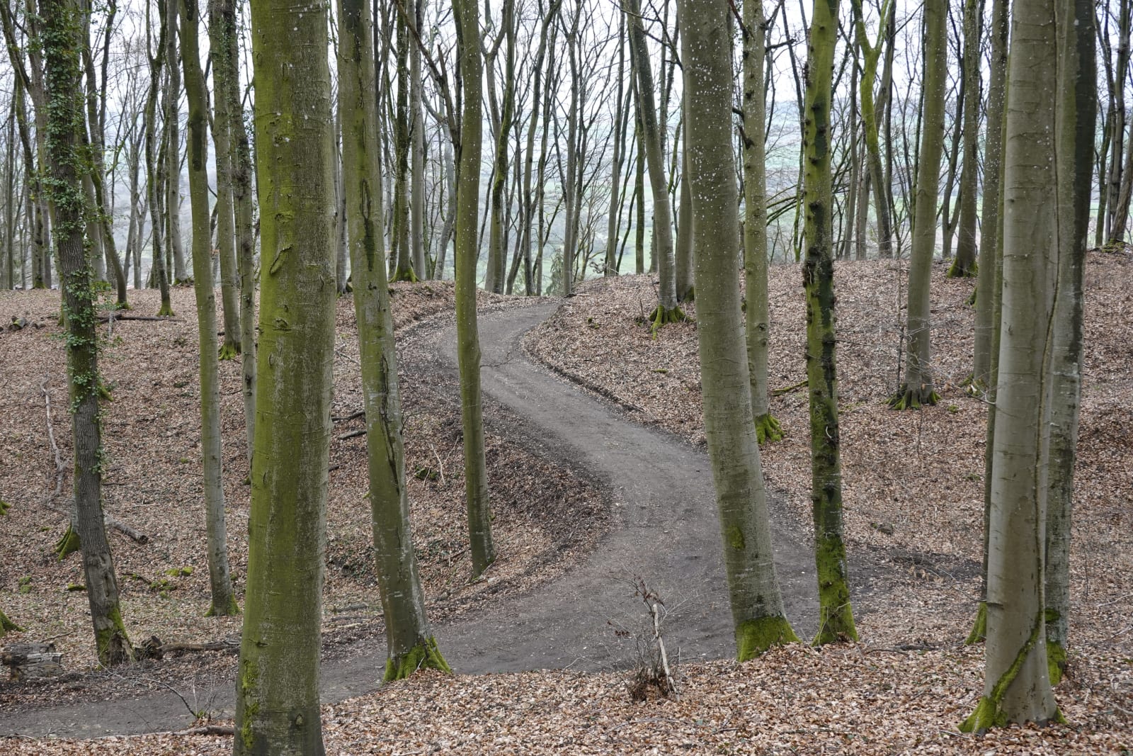 luxembourg photo 1fd83949-e753-563b-929e-b9713fd3482f